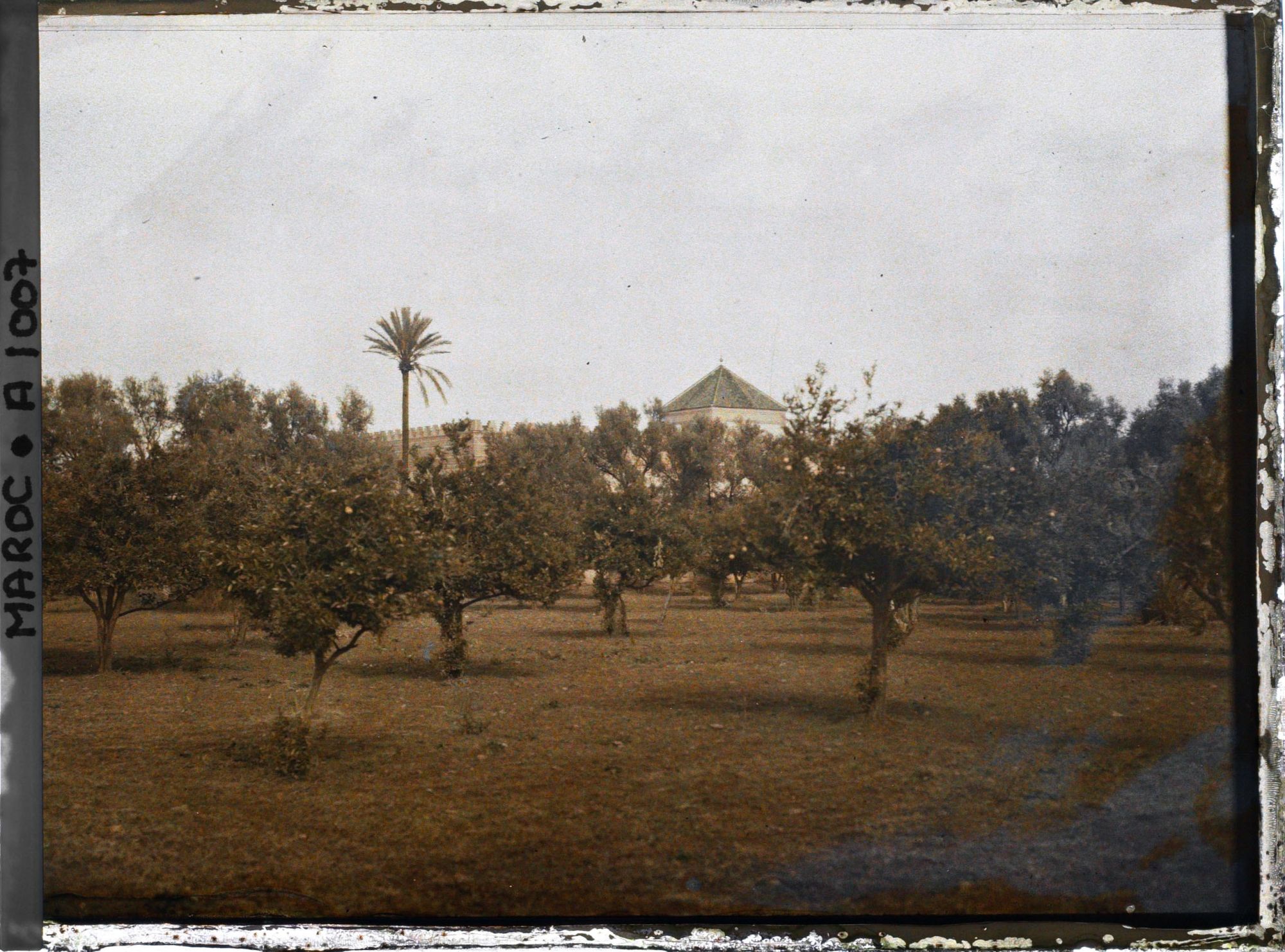 Image représentant Les jardins du Dar el Maghzen