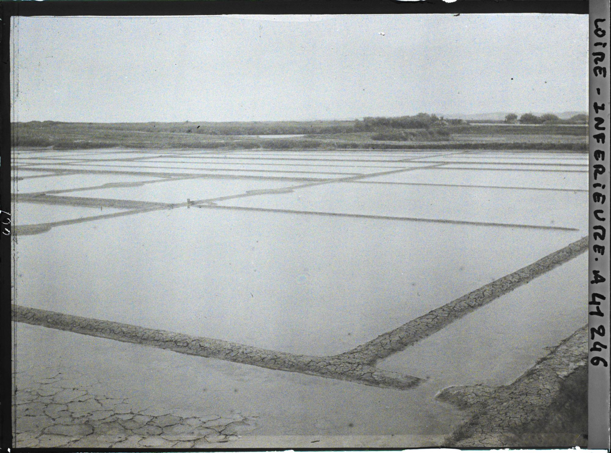 Image représentant Les marais salants