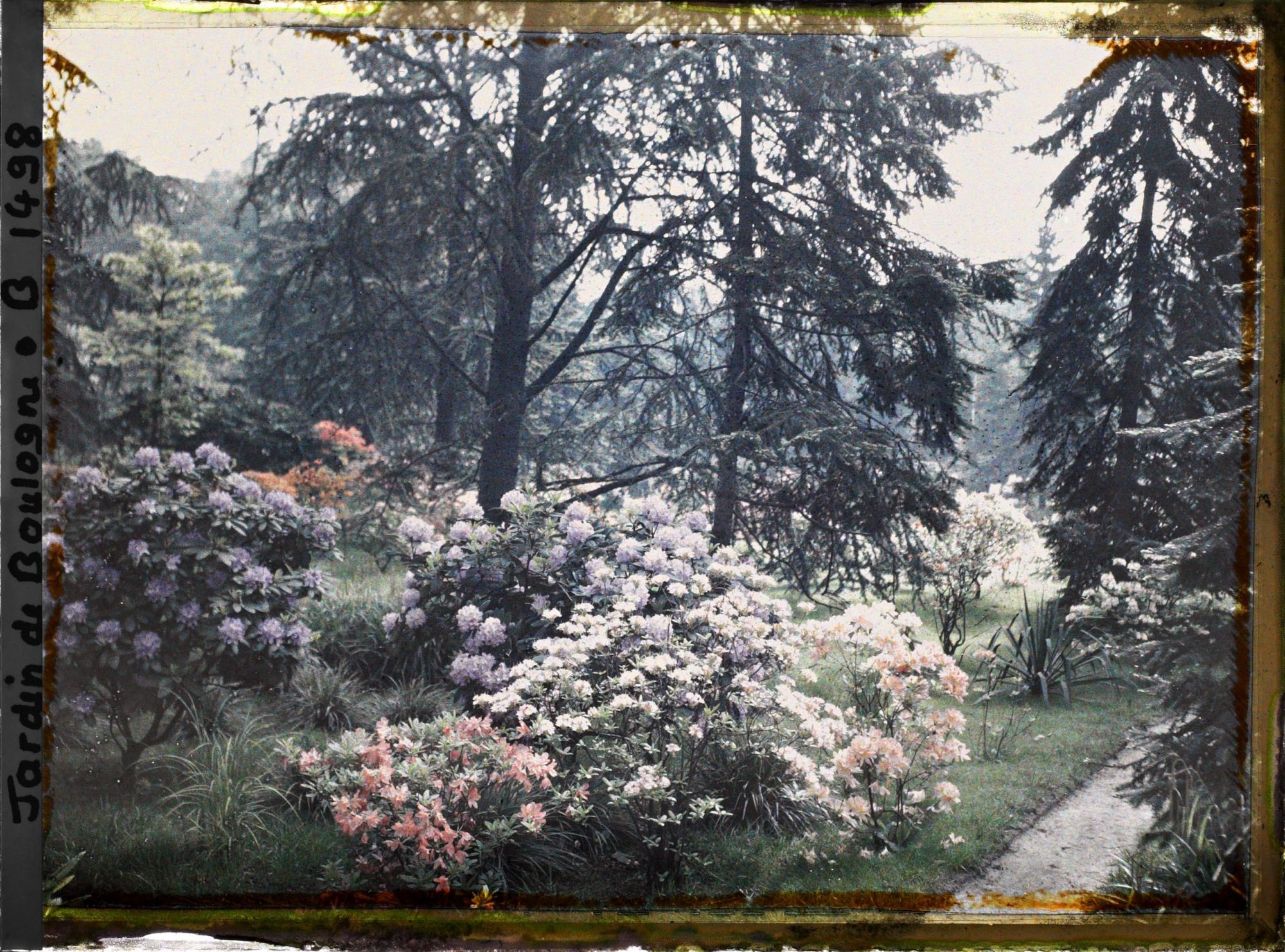Image représentant Rhodos et azalées