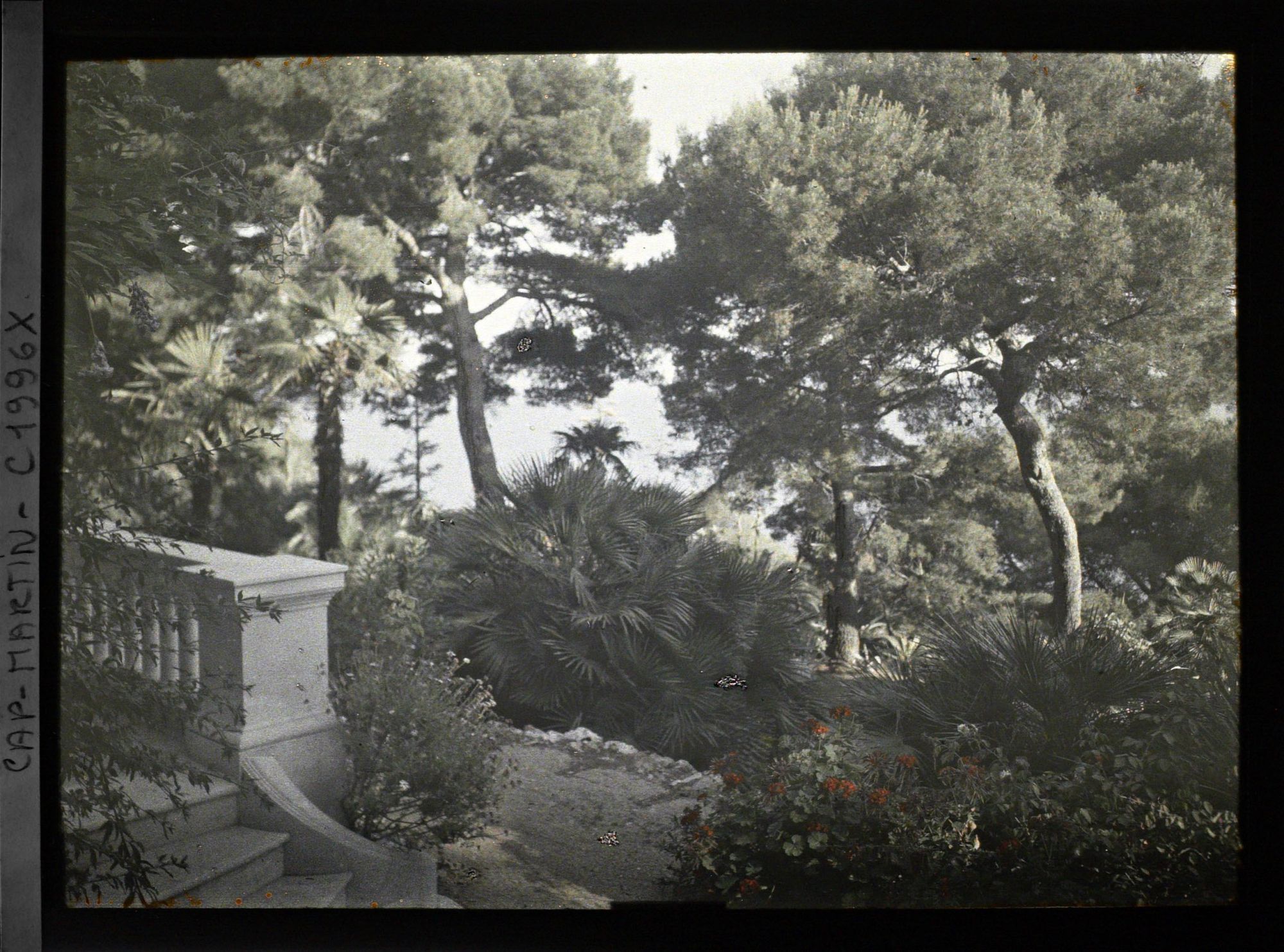 Image représentant Villa Miramar perron et escalier, vue sur le jardin vers la mer