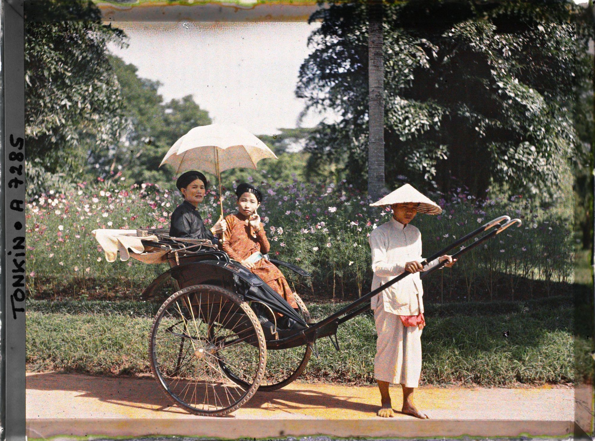 Image représentant Deux élégantes de la classe aisée, en pousse-pousse dans un jardin public