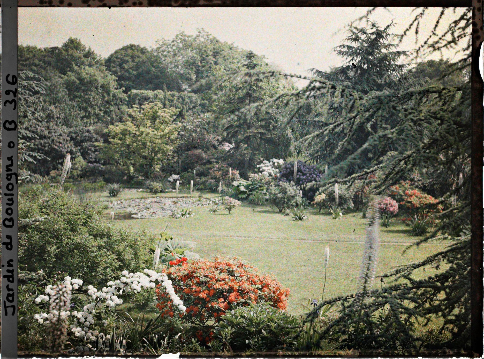 Image représentant Eremurus et arbustes en fleurs situés non loin du marais, vus en direction du nord, nord-est