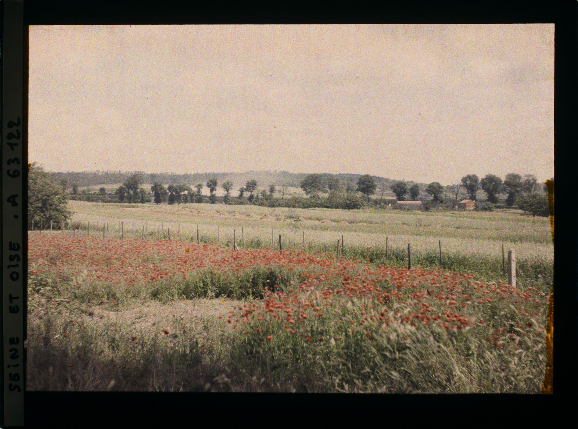 Image représentant Ile de France, Corneilles en Parisis , Blés et Coquelicots