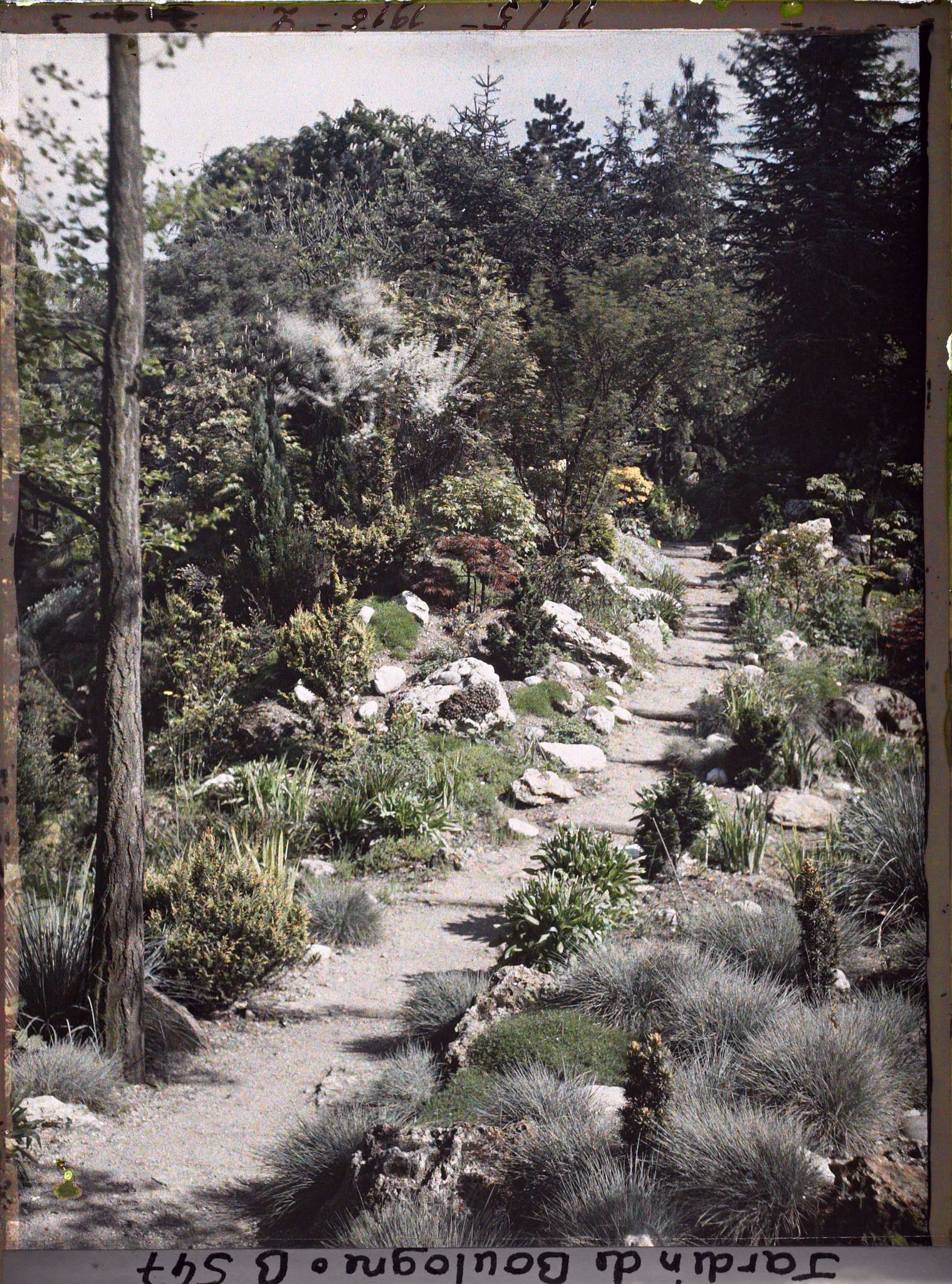 Image représentant Chemin escarpé longeant un vallon rocheux du " sanctuaire japonais "