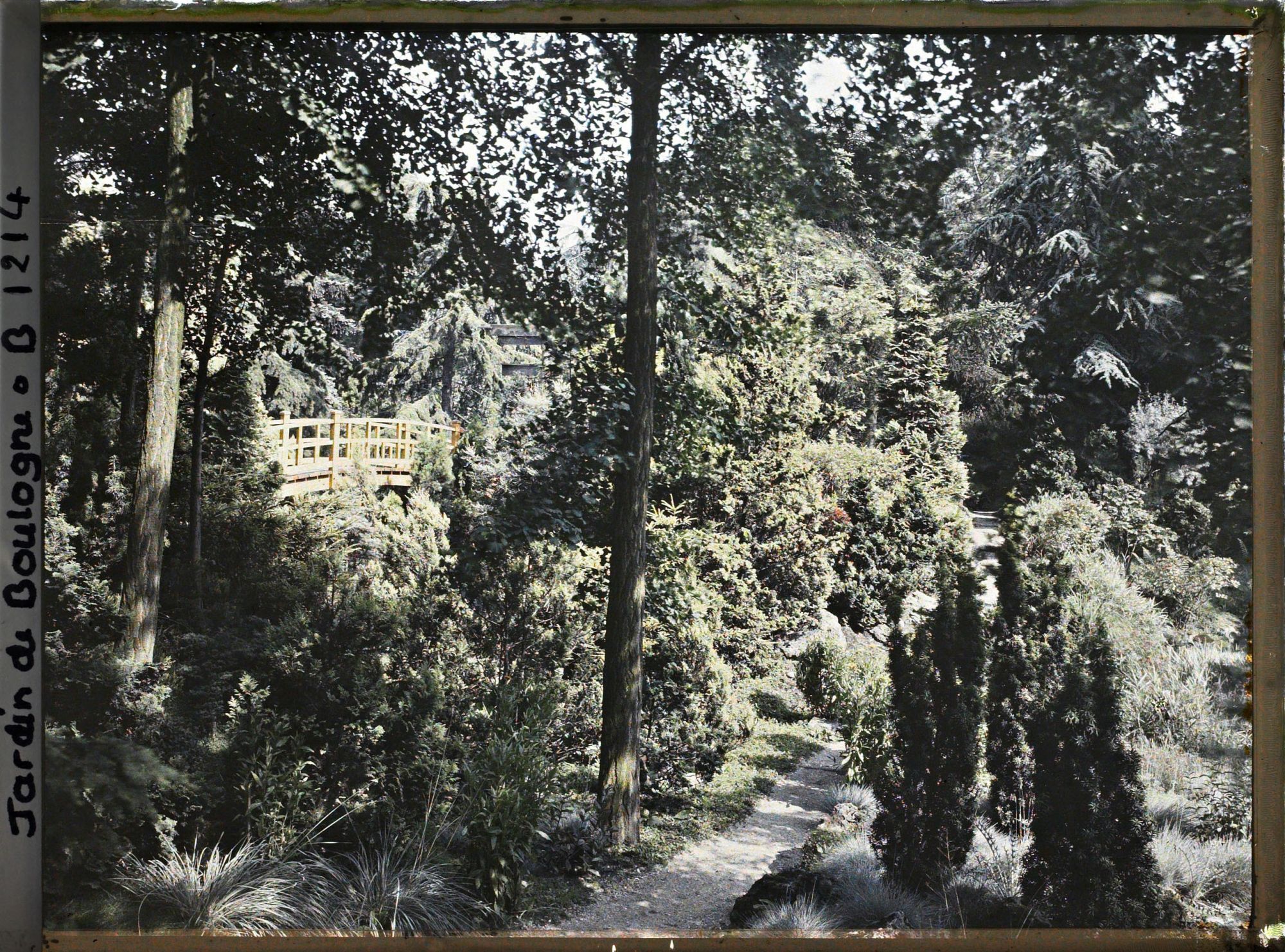 Image représentant Allée du " jardin chinois " proche d'un pont et d'un torii du " sanctuaire japonais "