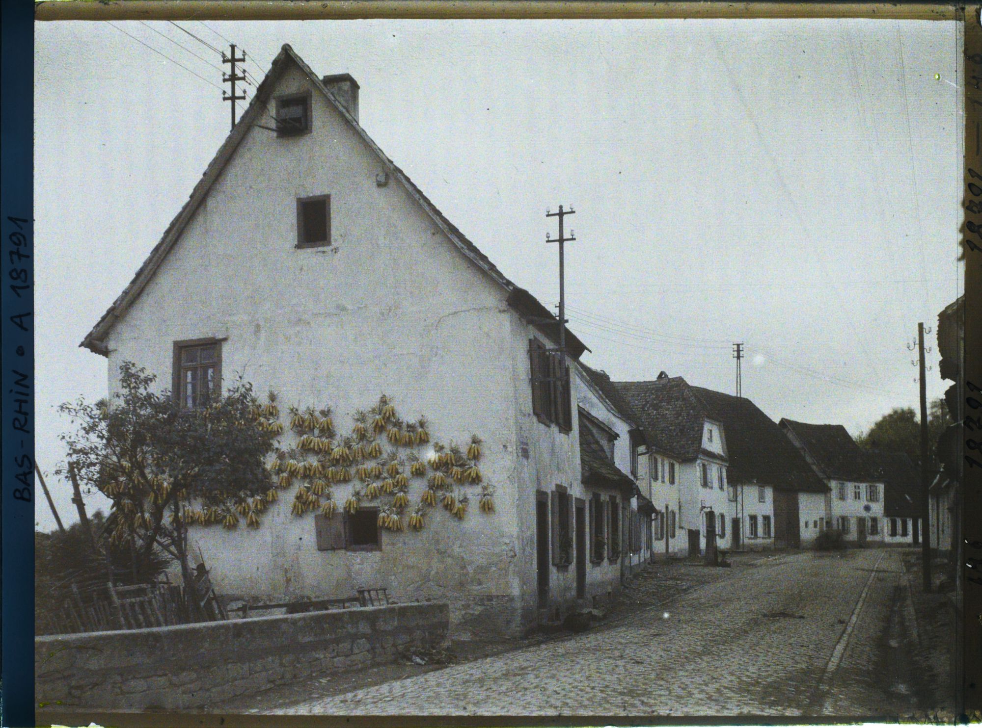 Image représentant France, Lauterbourg, La rue principale et à gauche une maison avec maïs qui sèche.