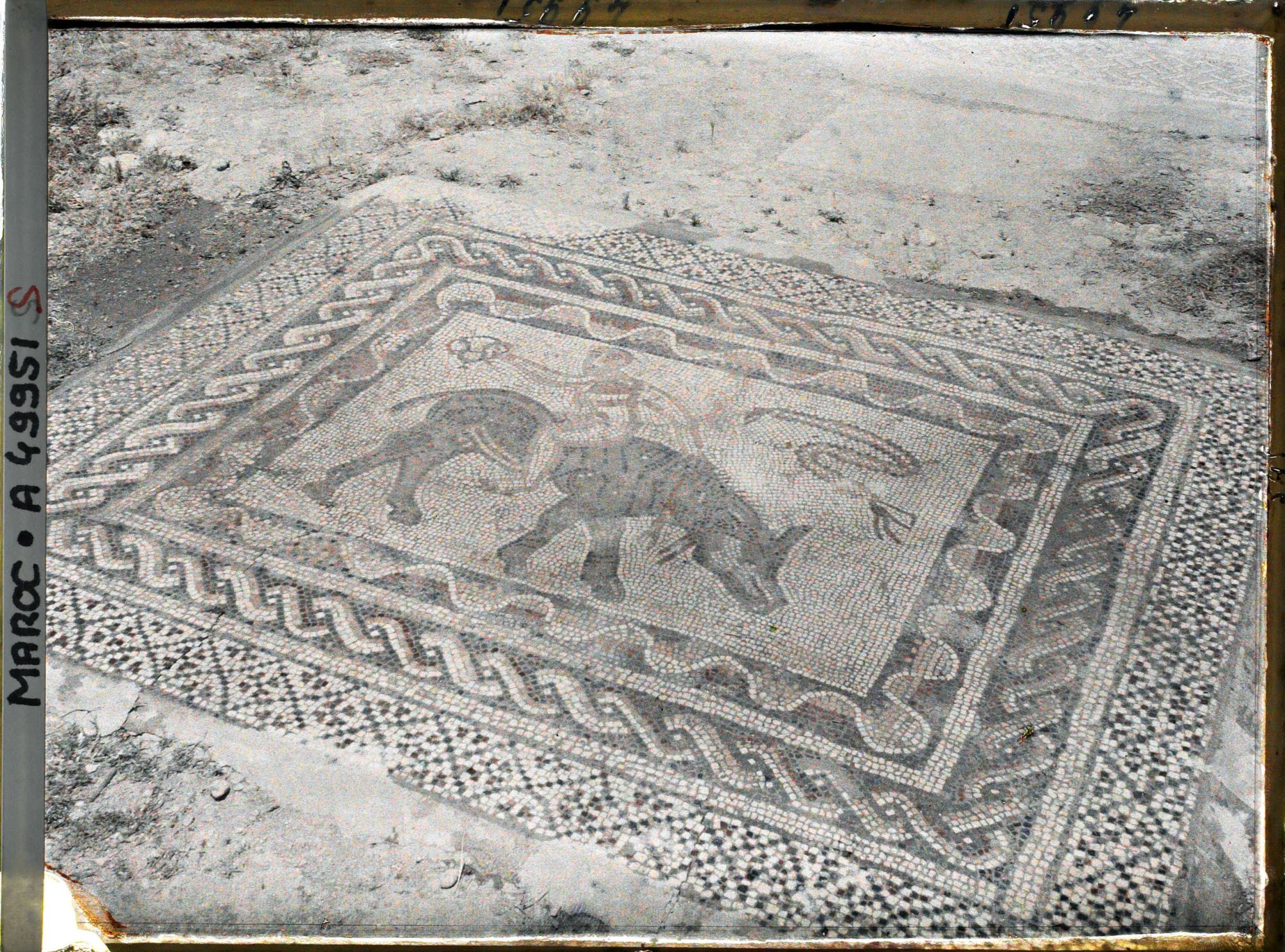 Image représentant Mosaïque de la maison au Desultor