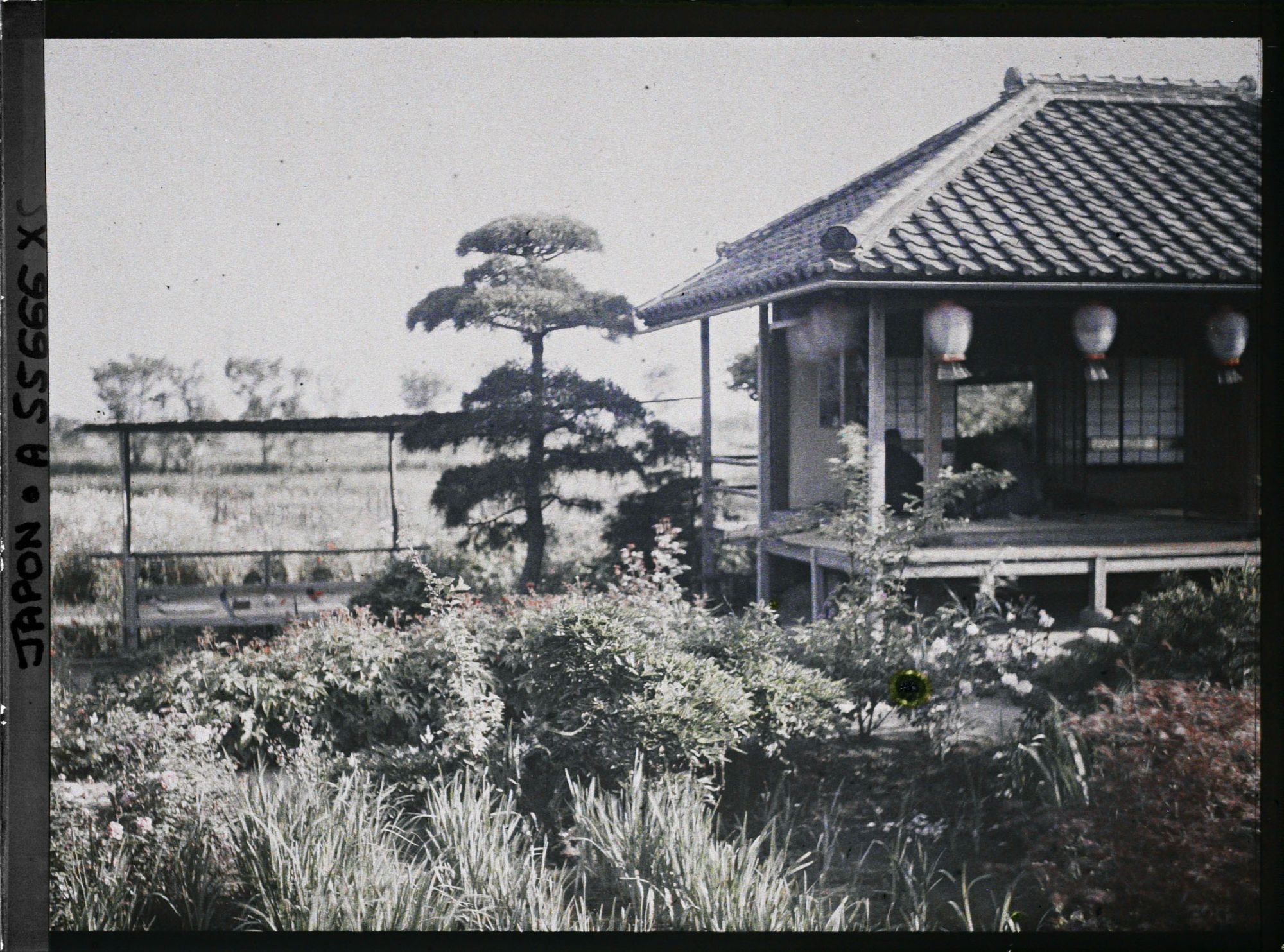 Image représentant Parc Horikiri-shobuen