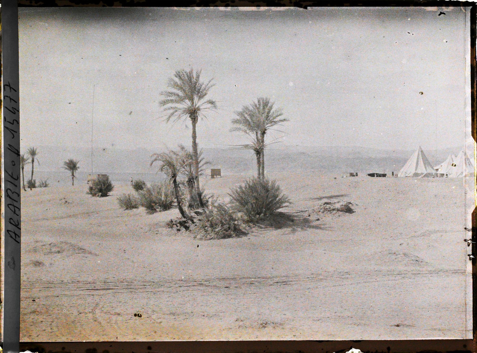 Image représentant Le camp britannique, au bord du golfe d'Aqaba