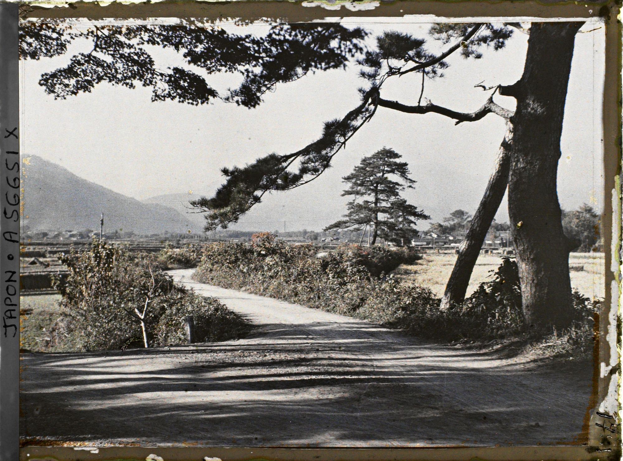 Image représentant route et paysage de campagne