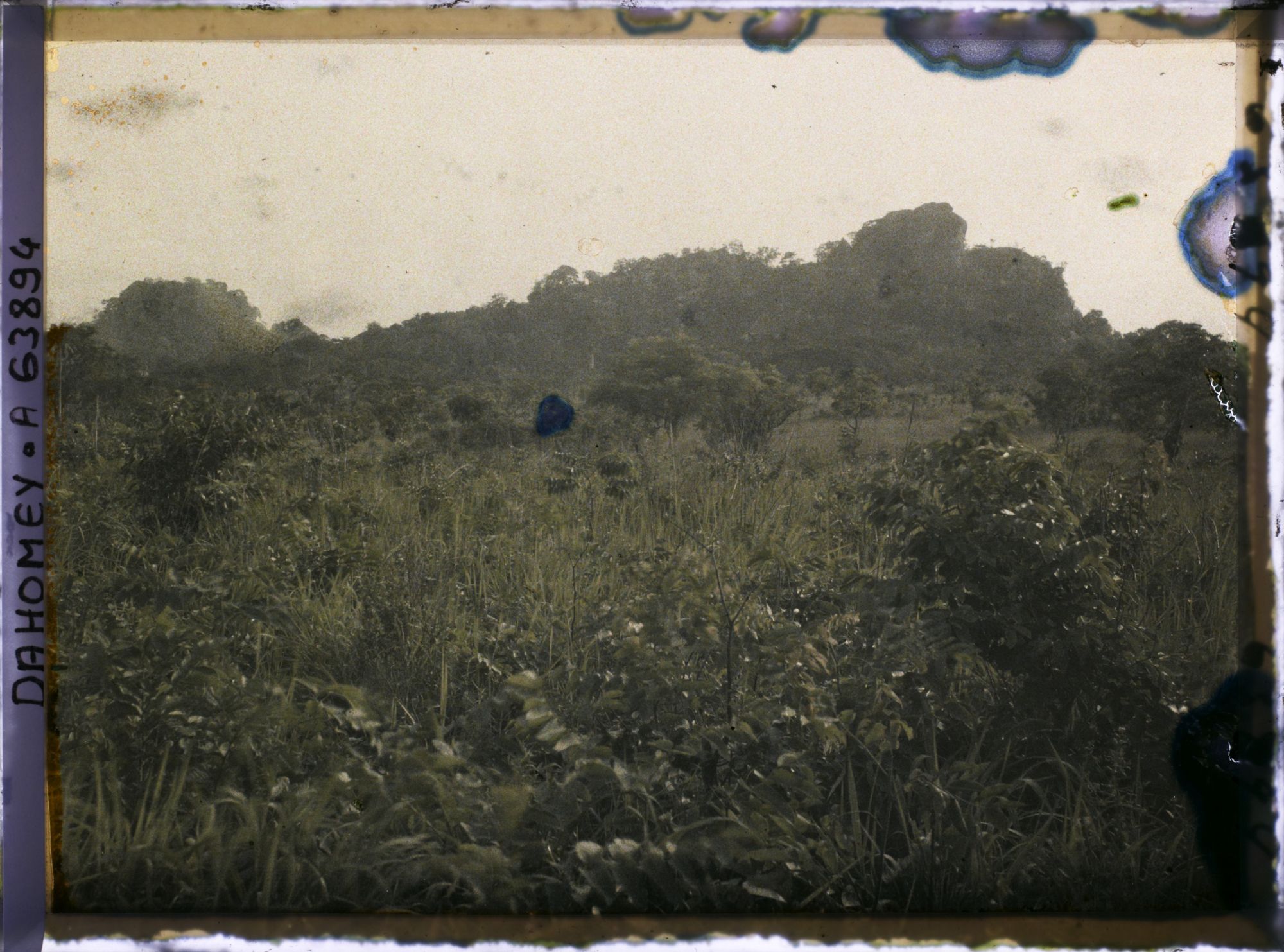 Image représentant Paysage vers les montagnes