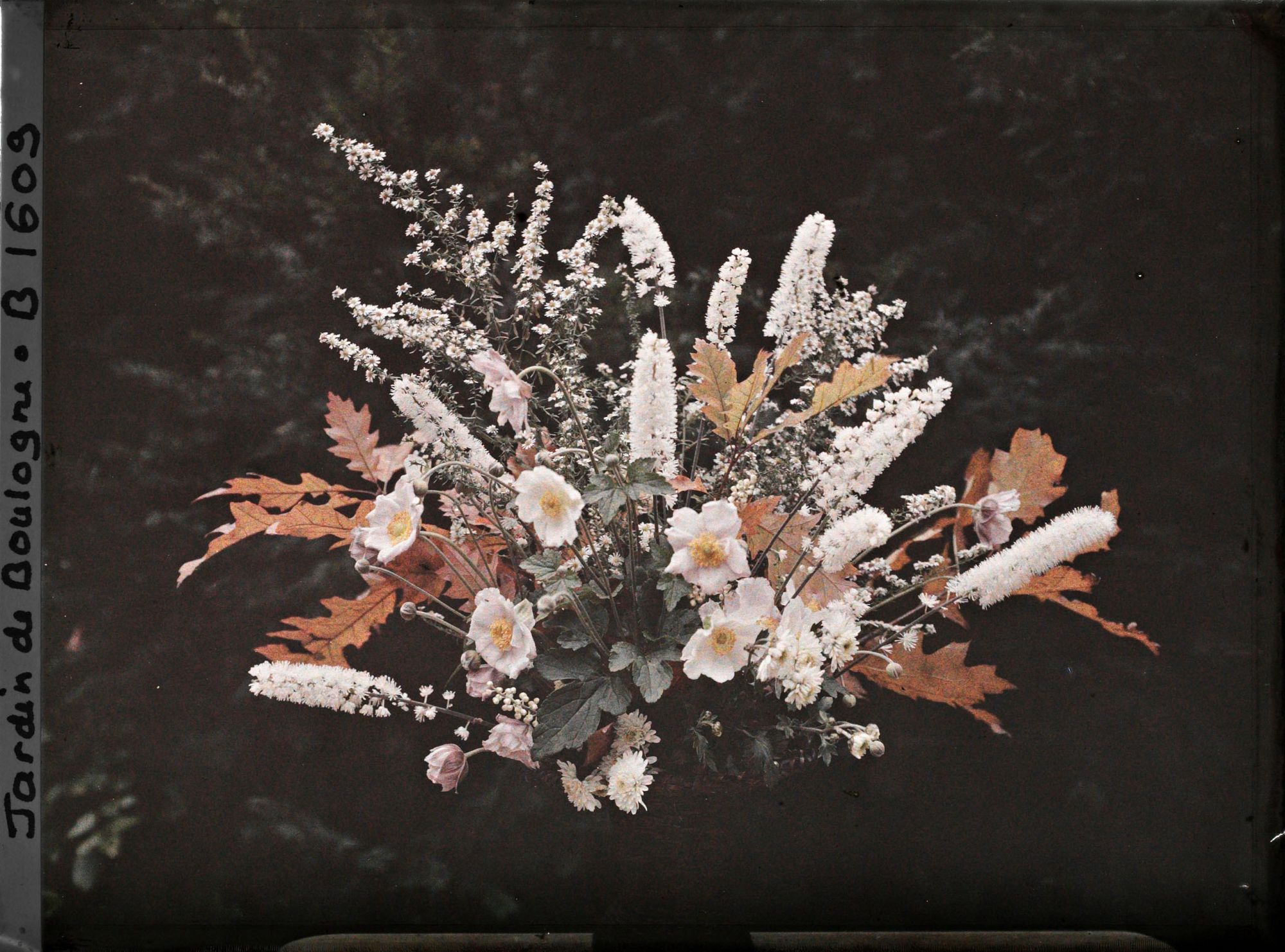 Image représentant Bouquet automnal de fleurs et de feuilles, photographié en extérieur sur un fond d'arbustes