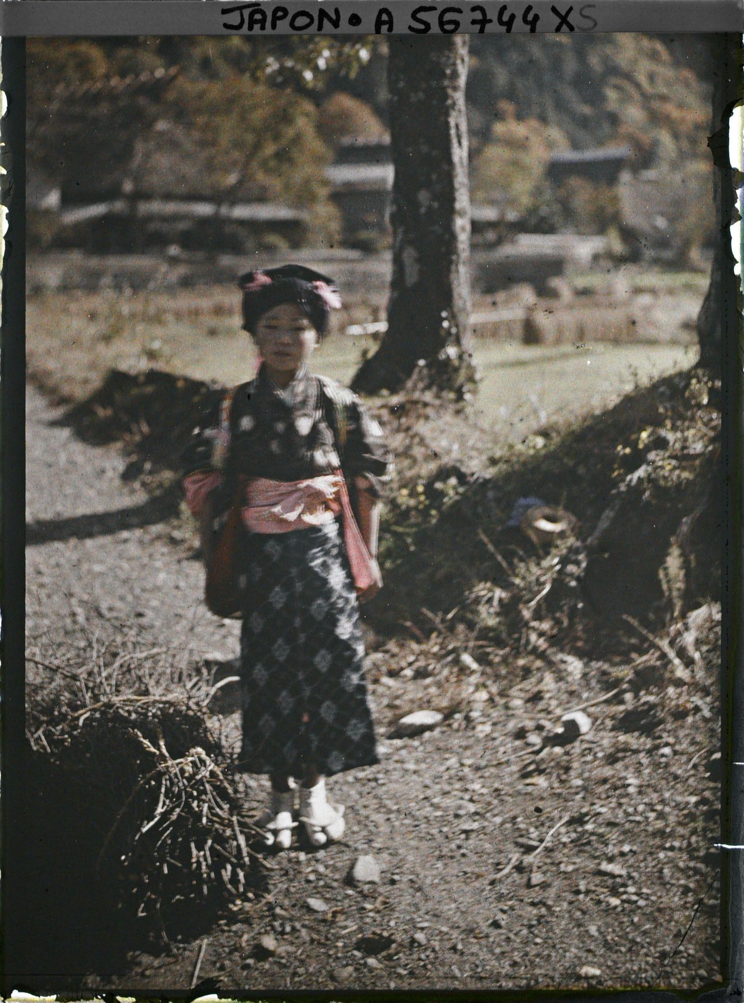 Image représentant Fillette