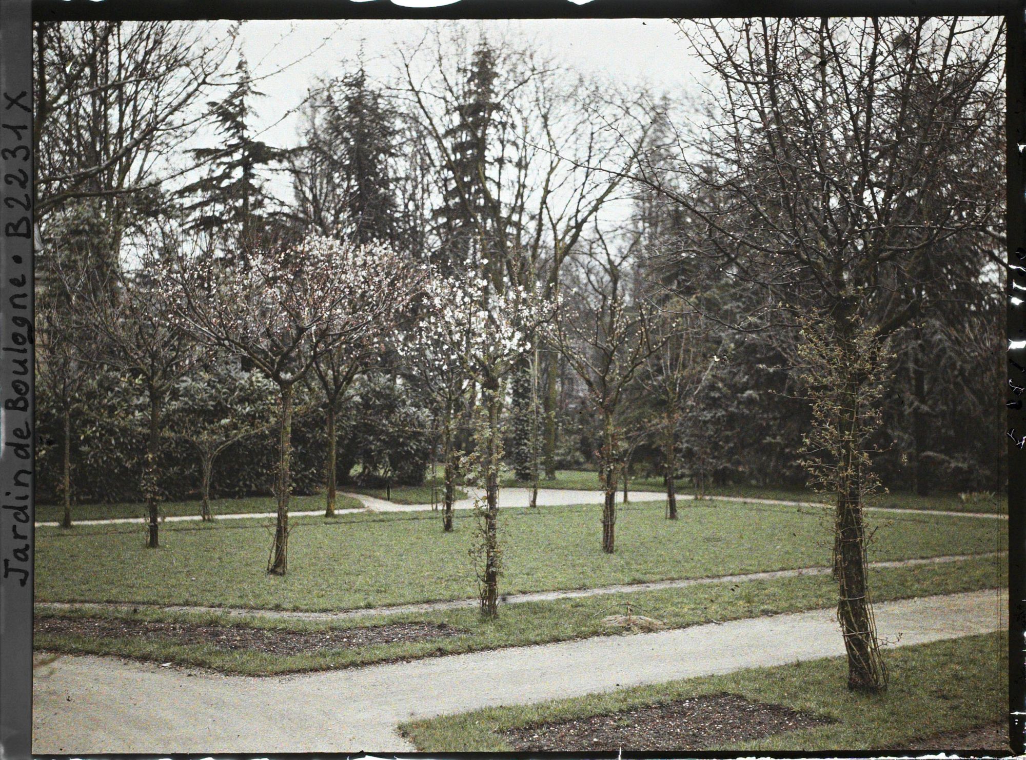 Image représentant Partie nord-ouest du verger-roseraie vue depuis le rond-point proche de la dépendance