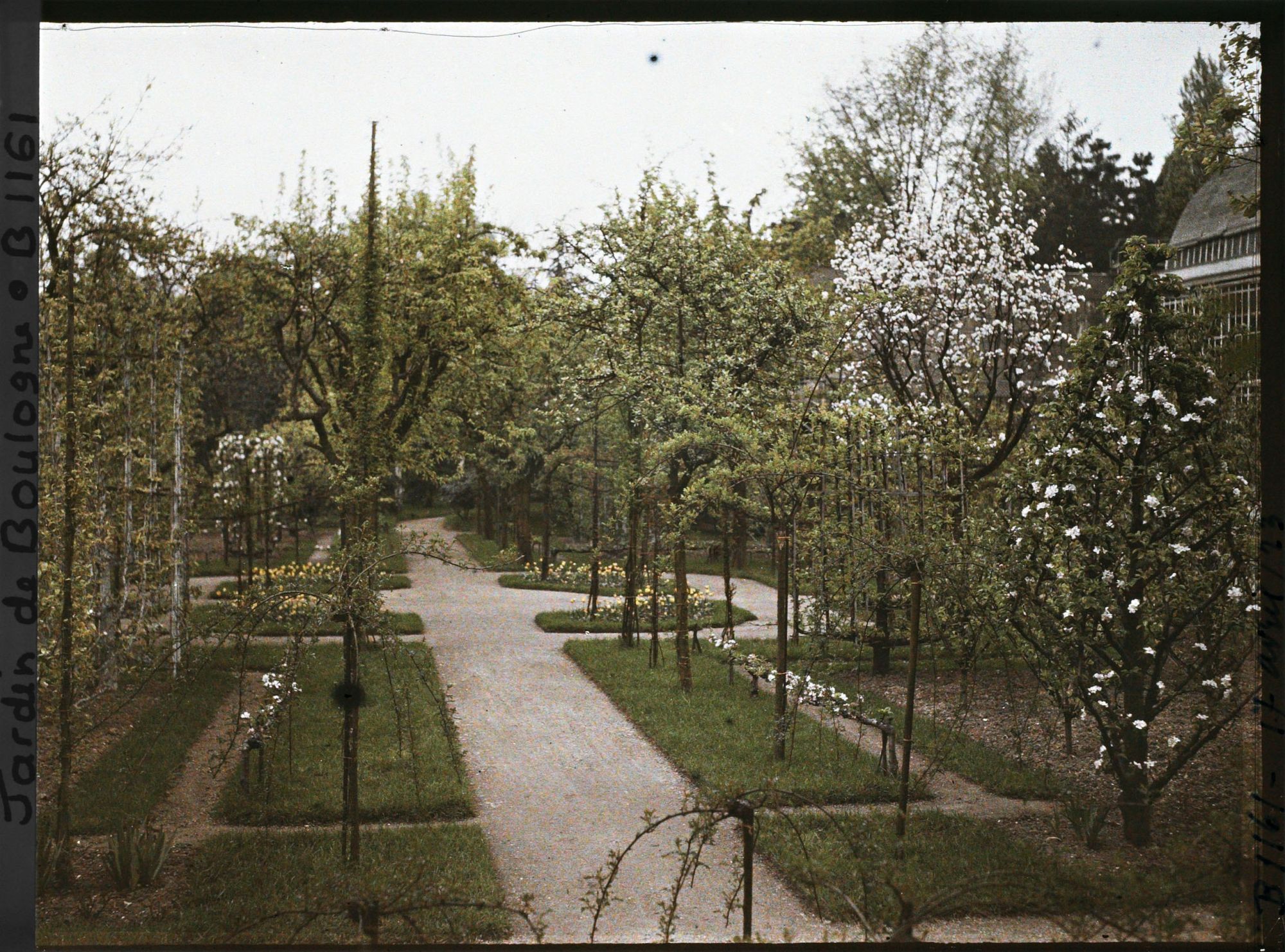 Image représentant Signes printaniers à l'est du verger-roseraie, au bord d'une allée menant à la forêt bleue