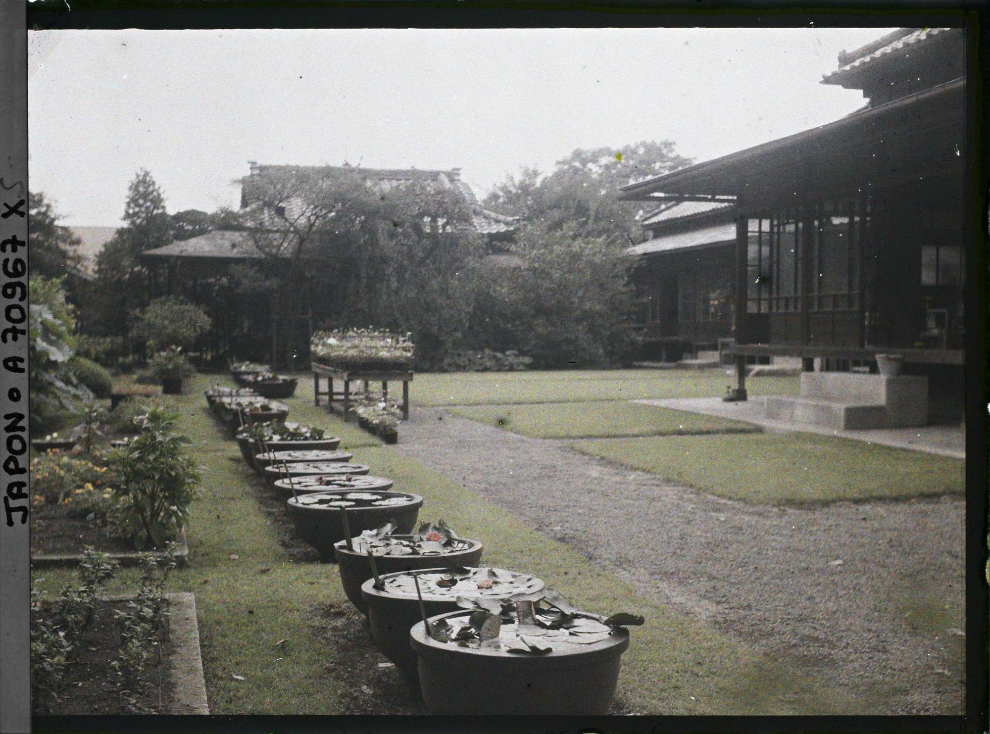 Image représentant Résidence Kitashirakawa (?) ou pépinière (?)