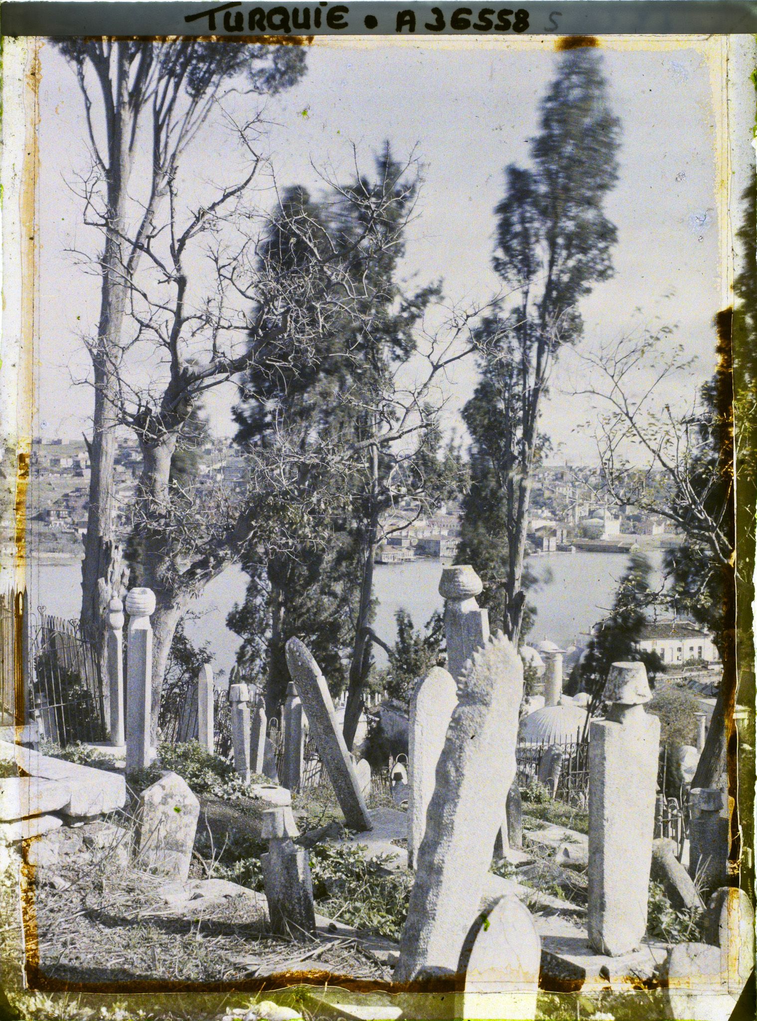 Image représentant Turquie, Constantinople- Eyoub, Petit Village d'Eyoub Cimetière d'Eyoub vers Galata