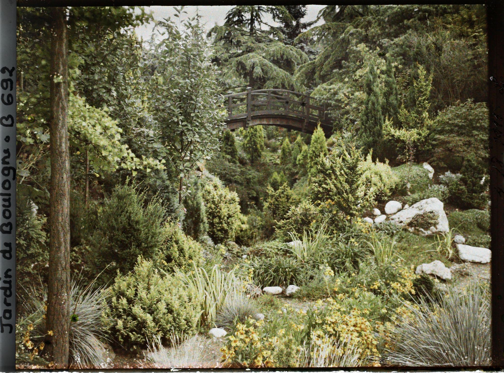 Image représentant Pont du " sanctuaire japonais " dans son environnement arboré, vu depuis le " jardin chinois "