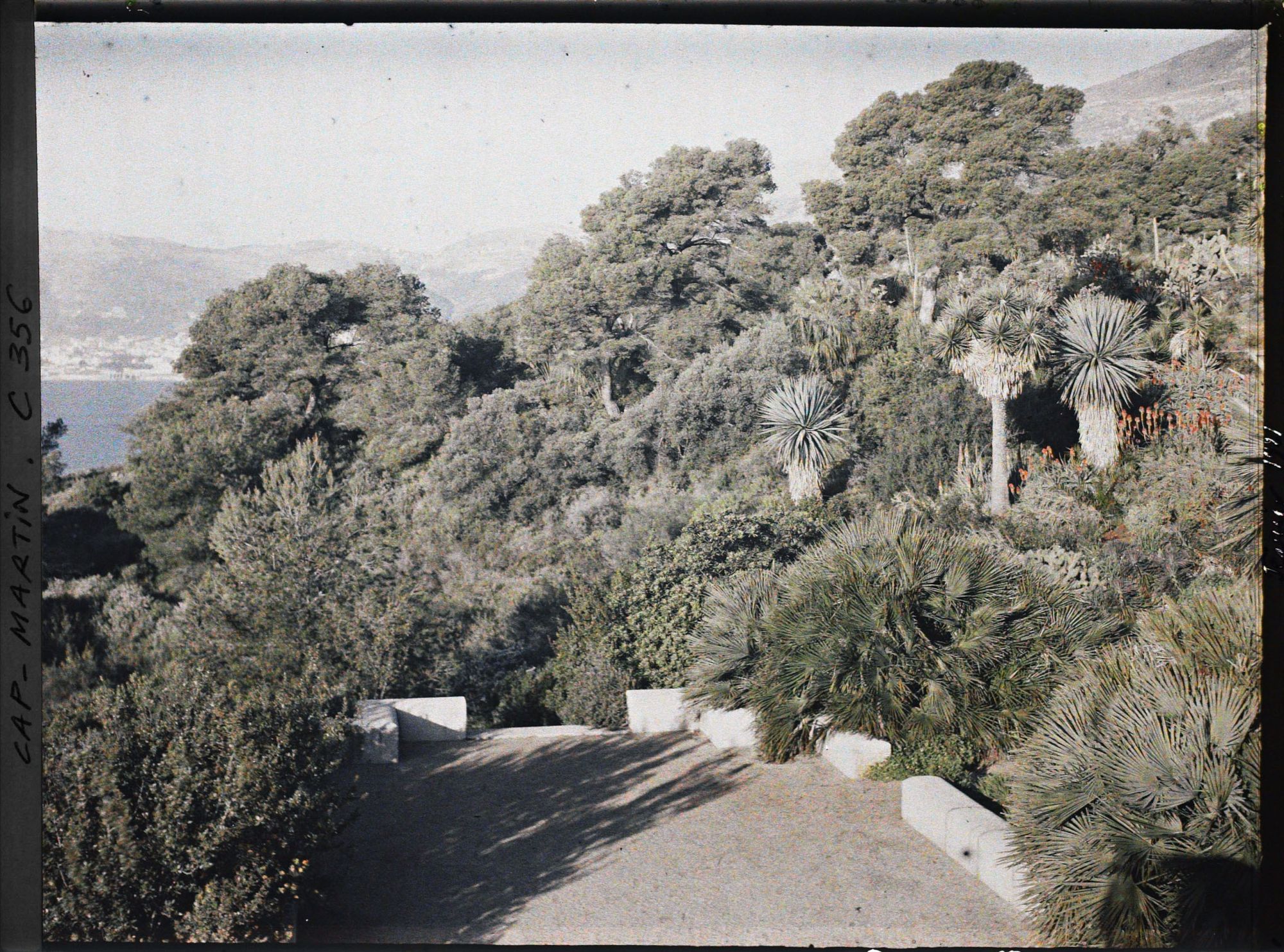 Image représentant Bout ouest de la terrasse inférieure et jardin situé en contrebas de la villa Kahn, dite villa Zamir