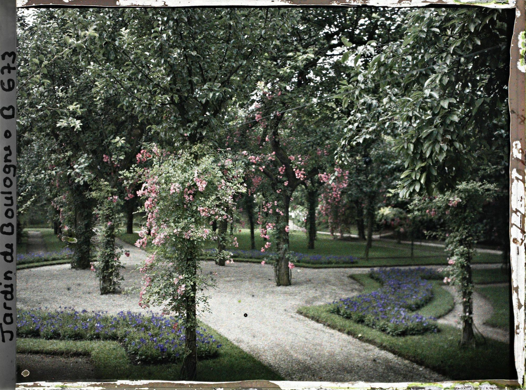 Image représentant Rond-point sur l'allée traversant la partie ouest du verger-roseraie en direction du jardin japonais