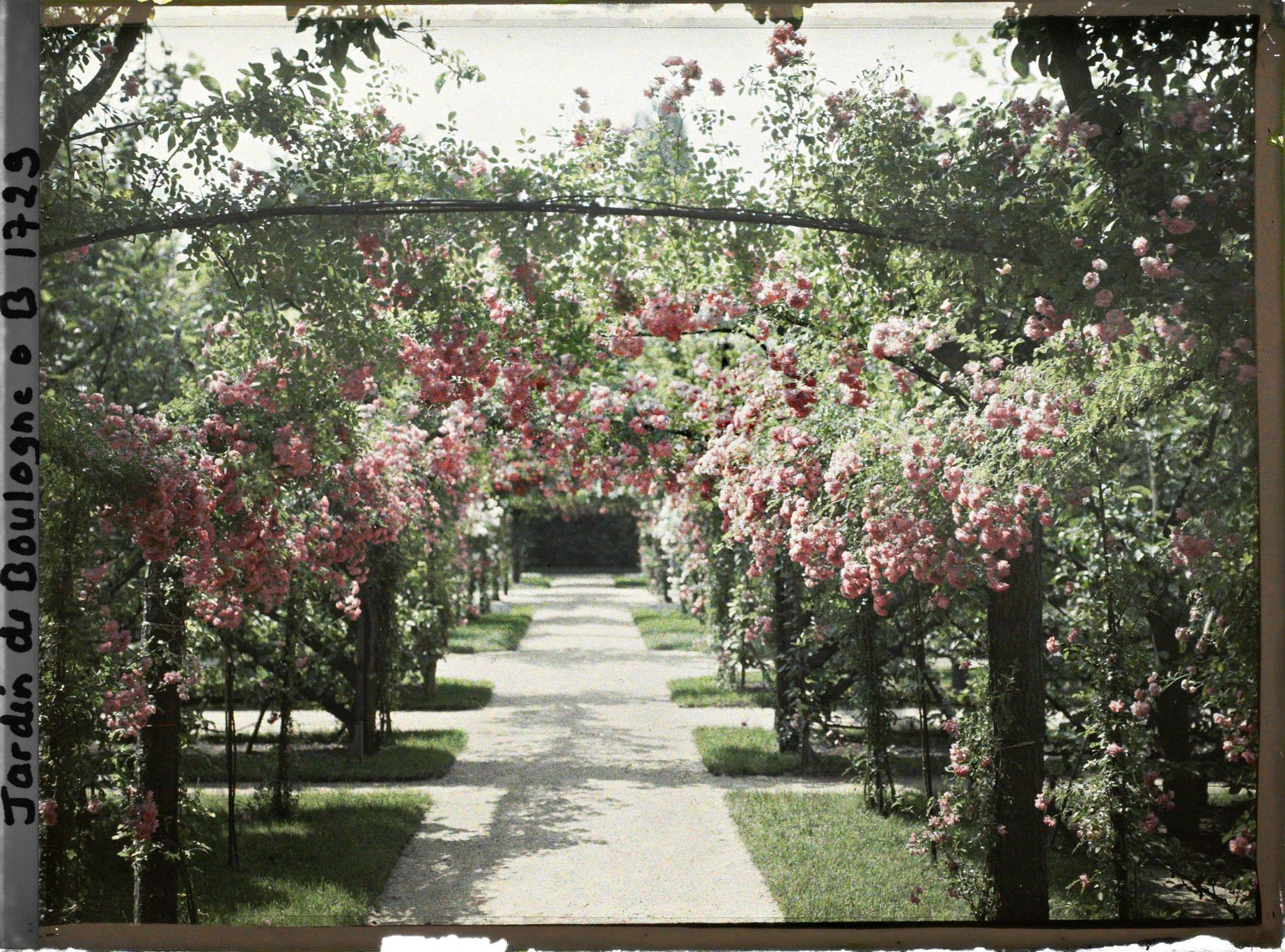 Image représentant Axe central du verger-roseraie vu à mi-parcours, en direction de la dépendance