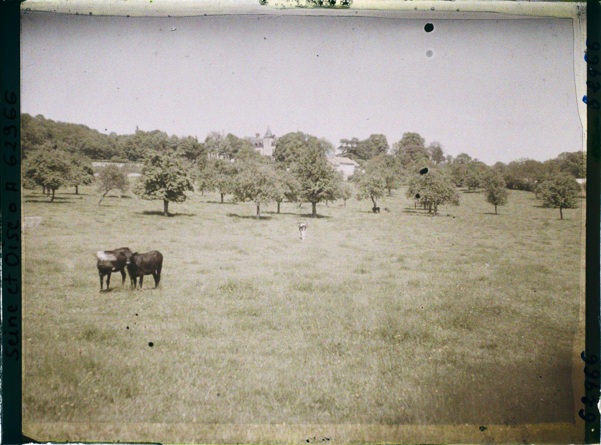 Image représentant Ile de France, Montroult, Pâturages