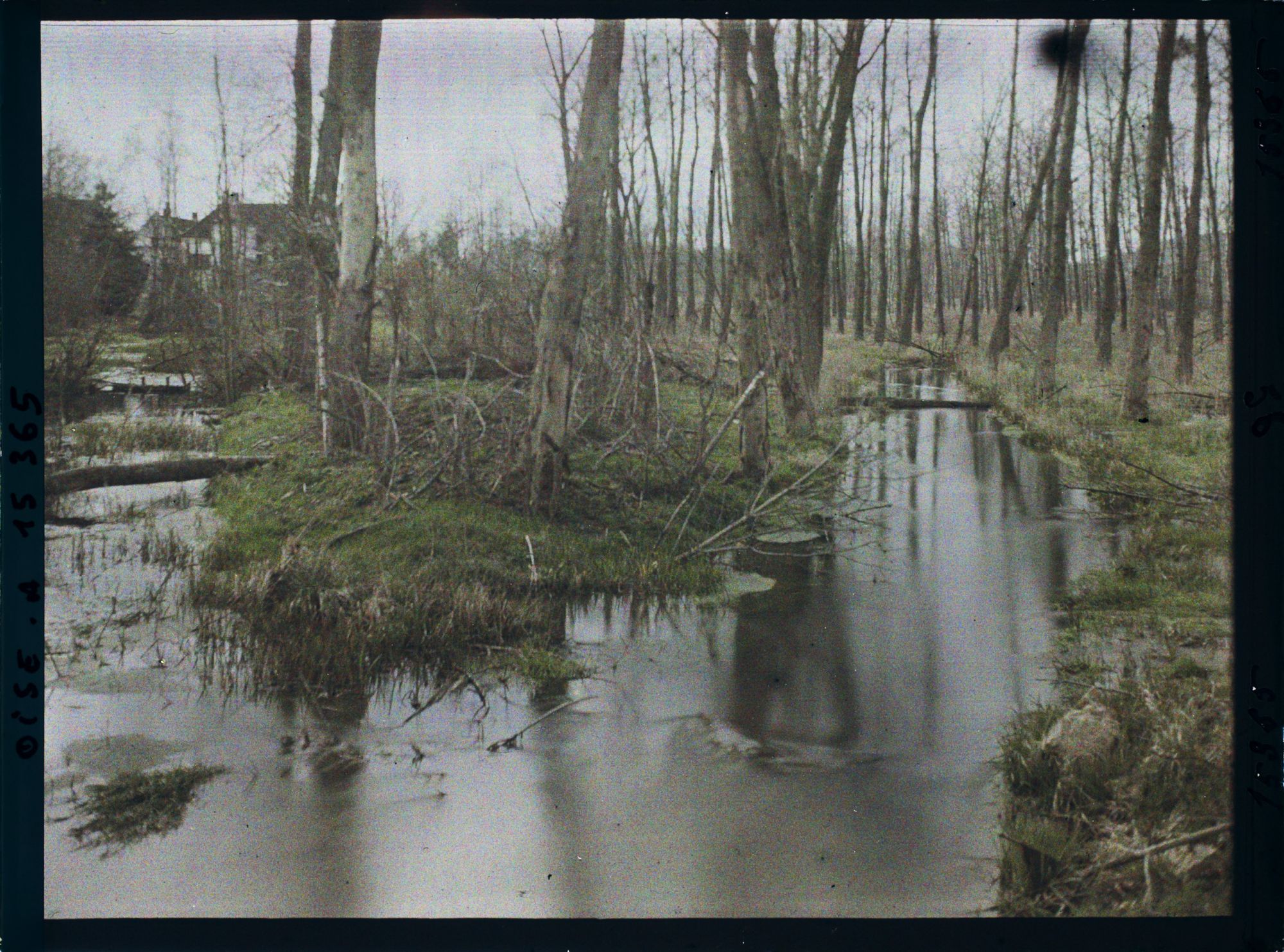 Image représentant France, Marest, Guerre Vue du Matz, petite rivière que les Allemands ne peuvent franchir en 1918 (très marécageux)