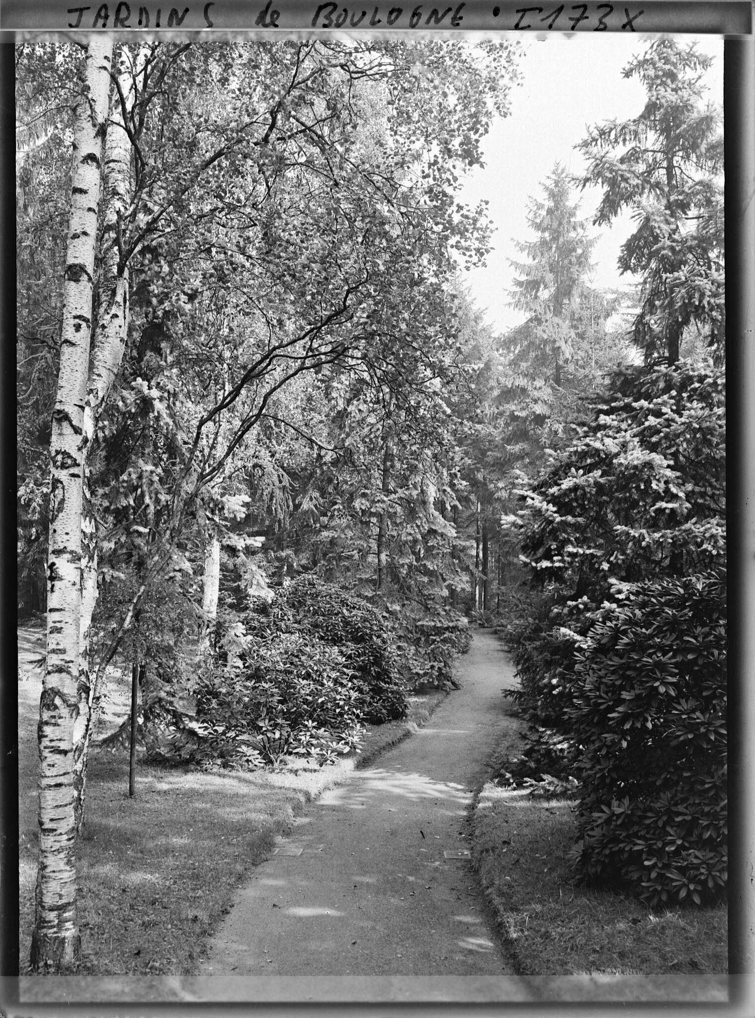 Image représentant La forêt dorée