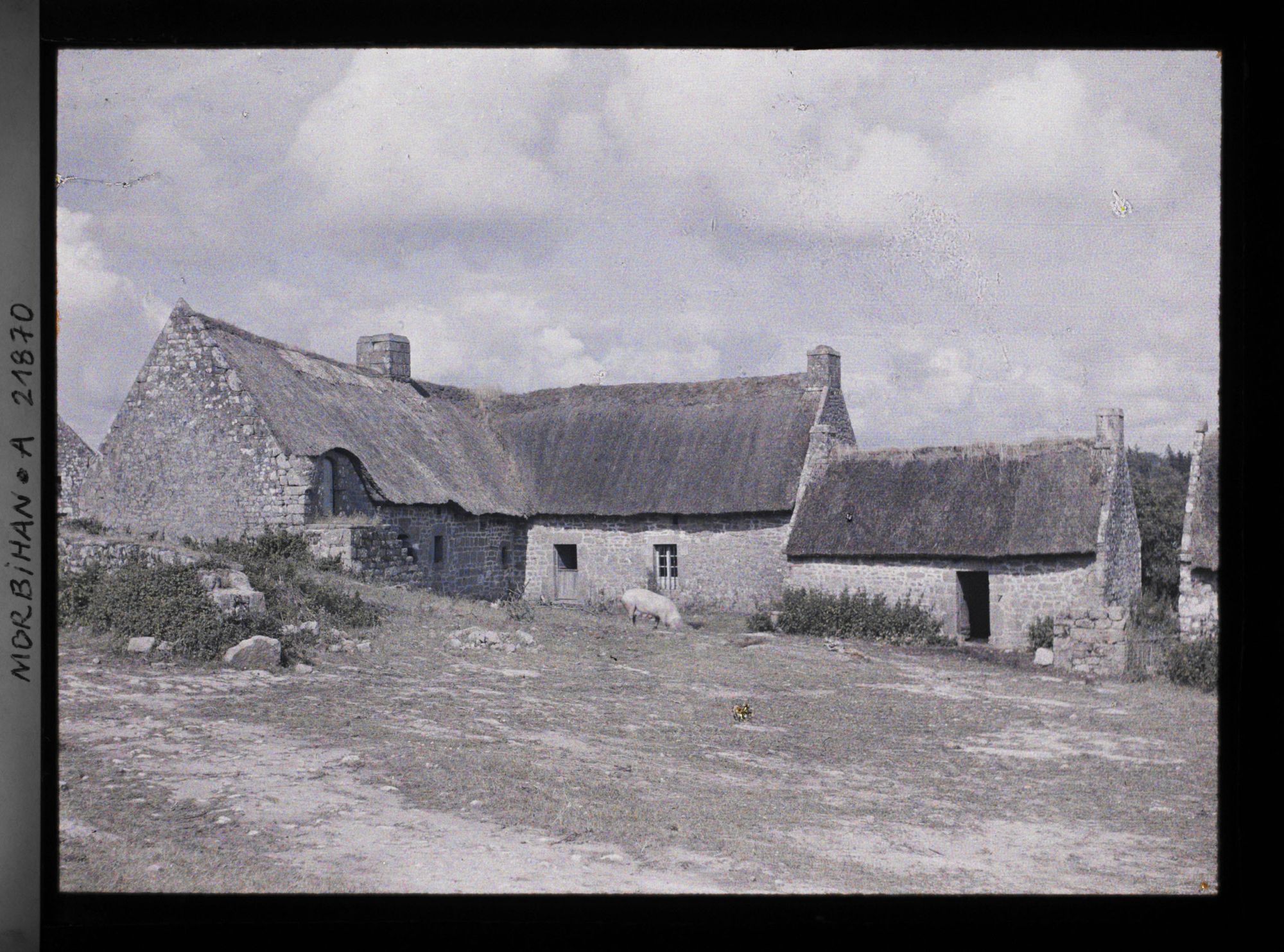 Image représentant Une ferme sur la route d'Auray