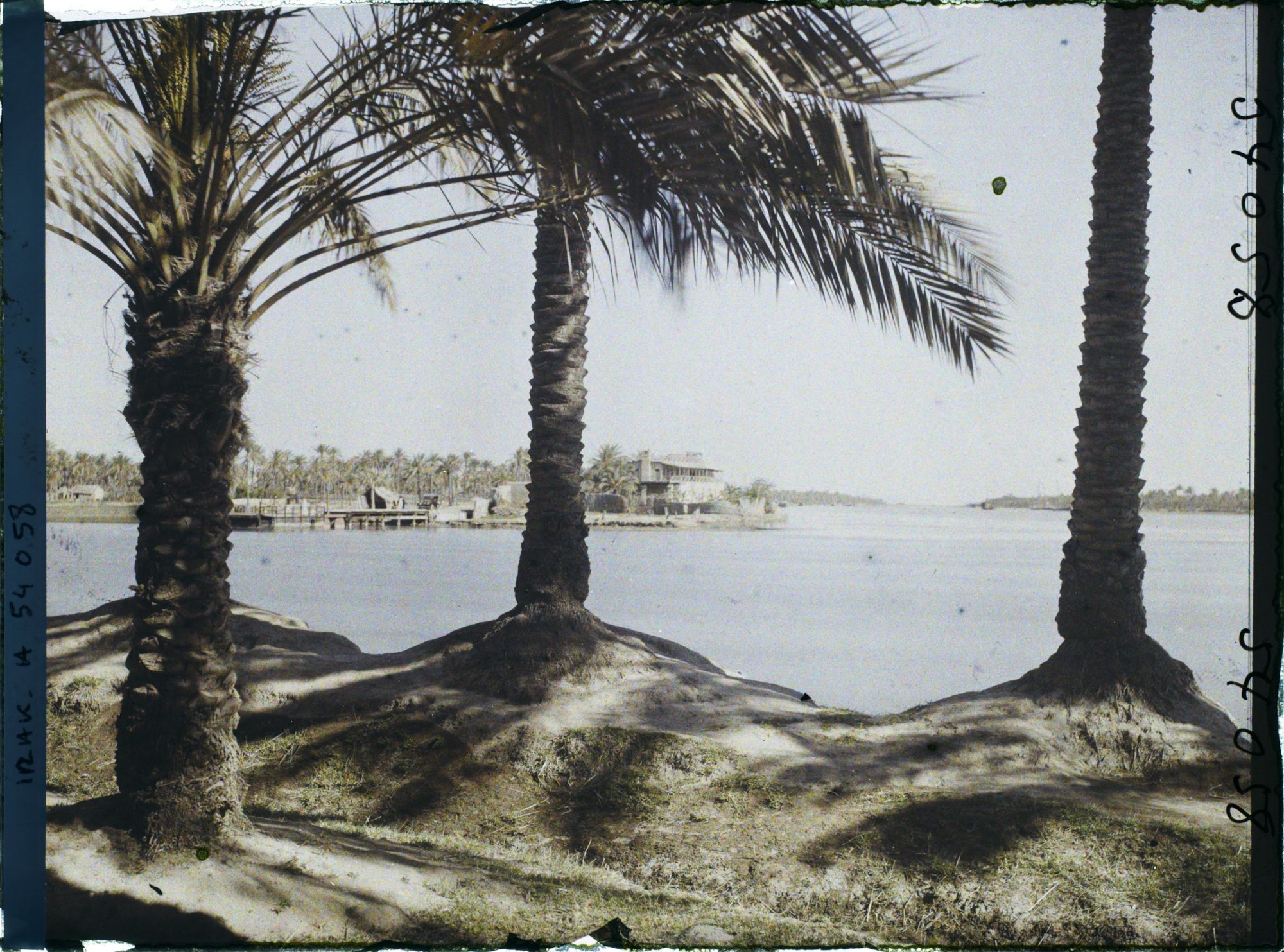 Image représentant Confluent du Tigre et de l'Euphrate