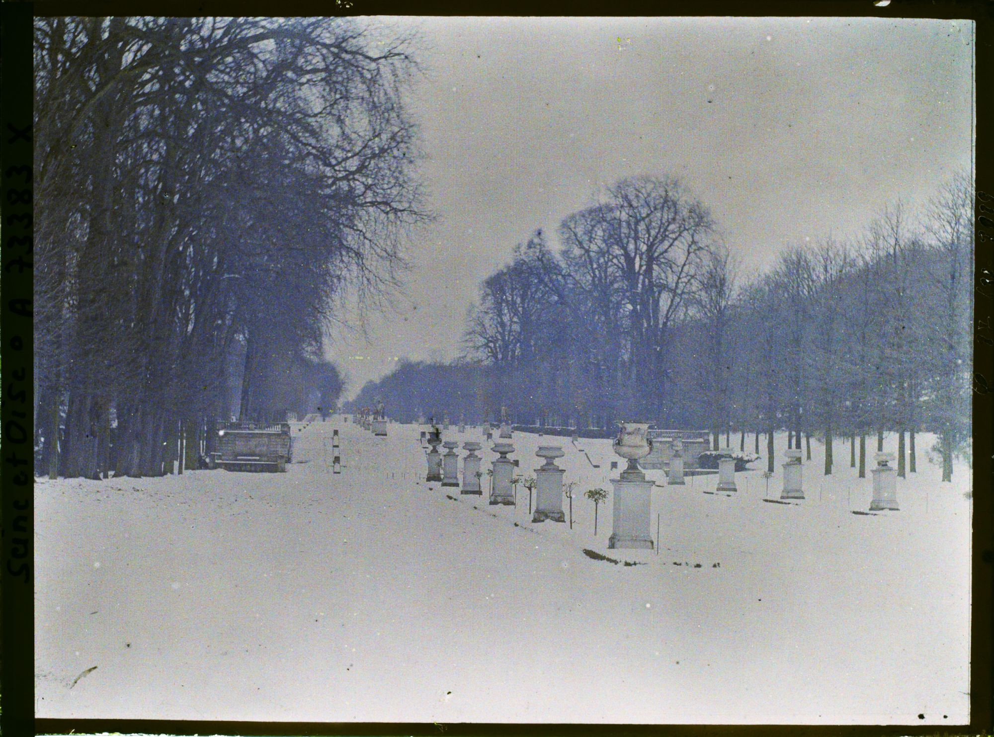 Image représentant La terrasse des Orangers sous la neige