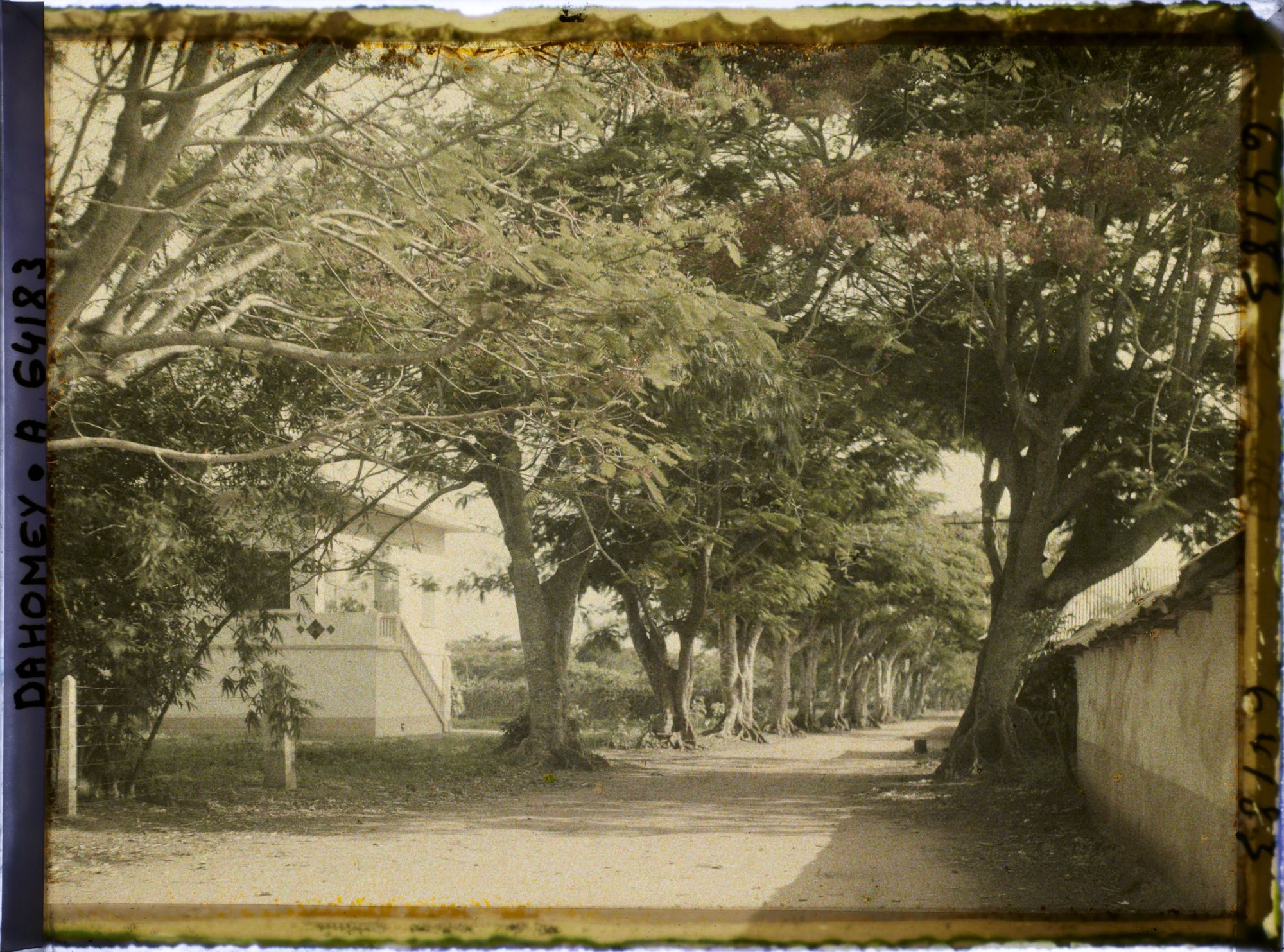 Image représentant La route de Sakété