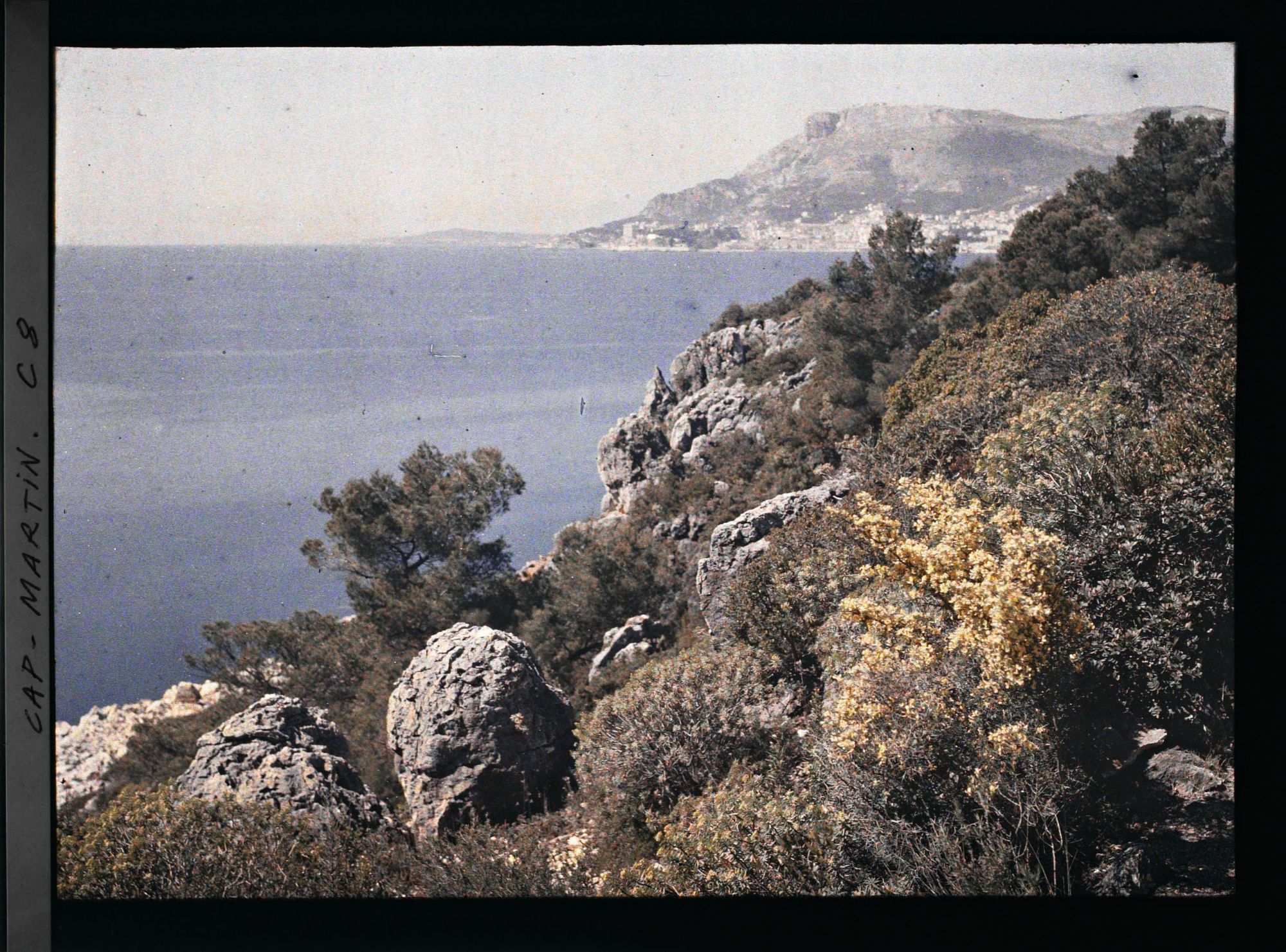 Image représentant Paysage rocheux et arboré vu en direction de Monaco, à proximité de la villa Kahn, dite villa Zamir