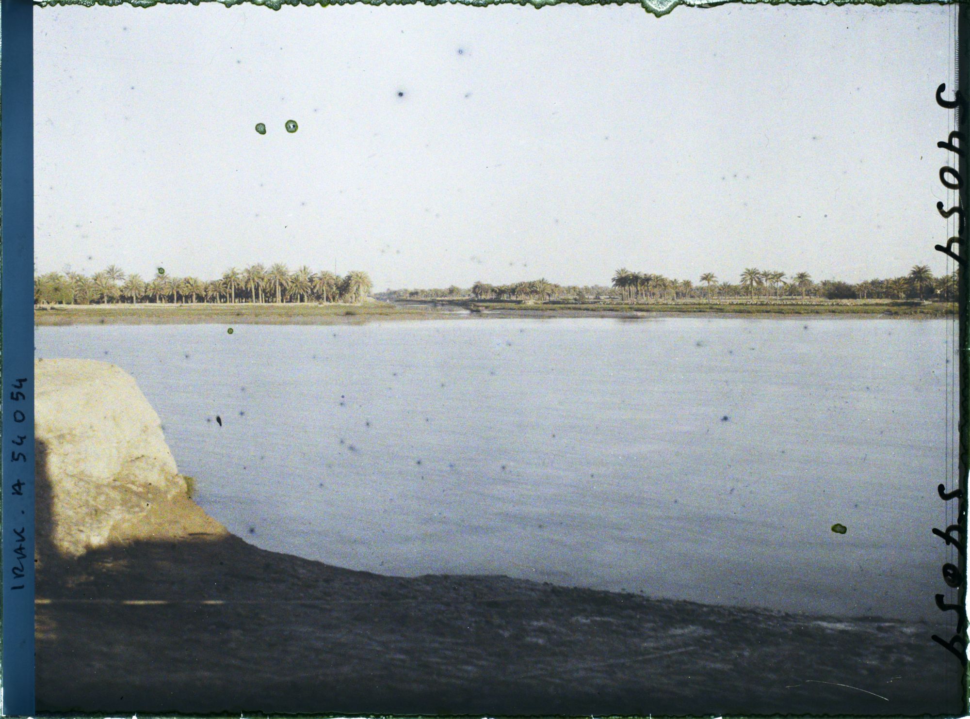 Image représentant Les palmeraies le long du Chatt al' Arab au lever du soleil