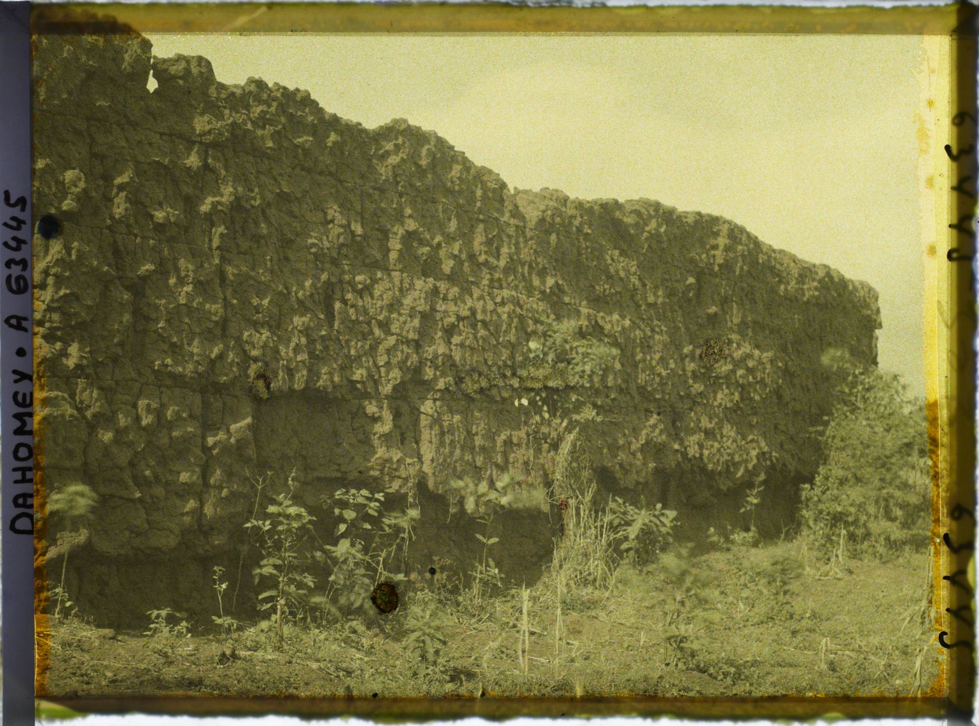 Image représentant Mur d'enceinte du jardin de  null Guézo