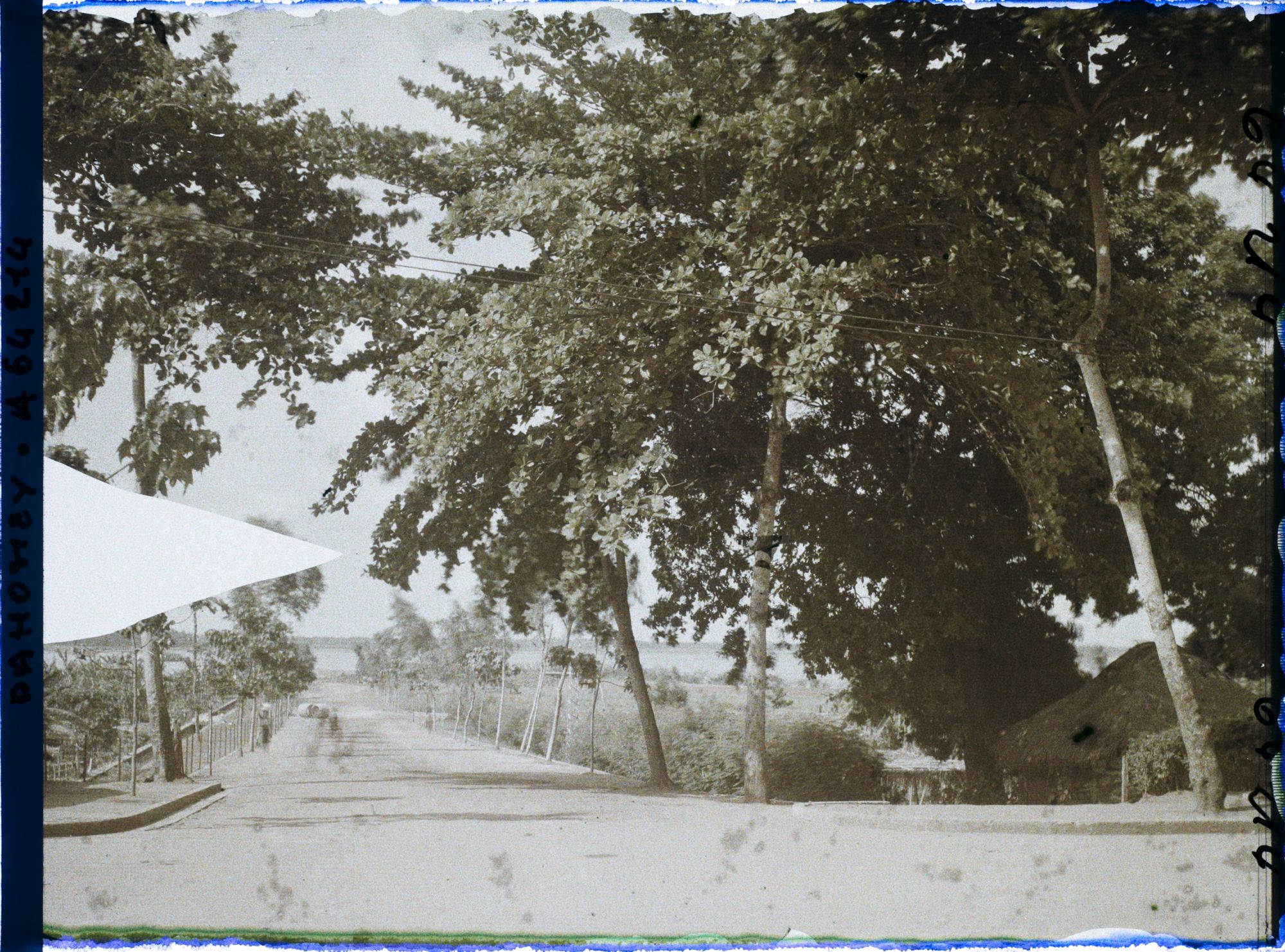 Image représentant L'avenue Mallan ? Vue vers la lagune ?