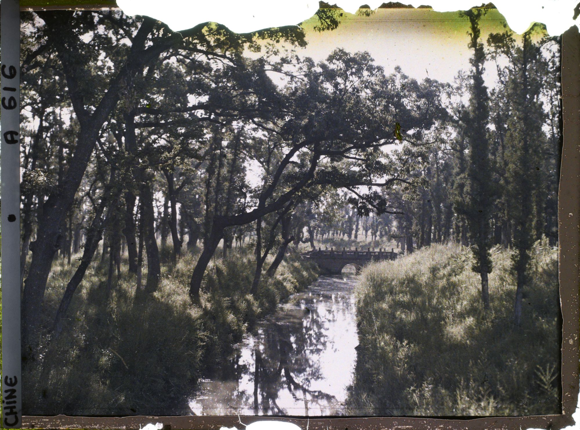 Image représentant Konglin, la nécropole de la famille de Confucius