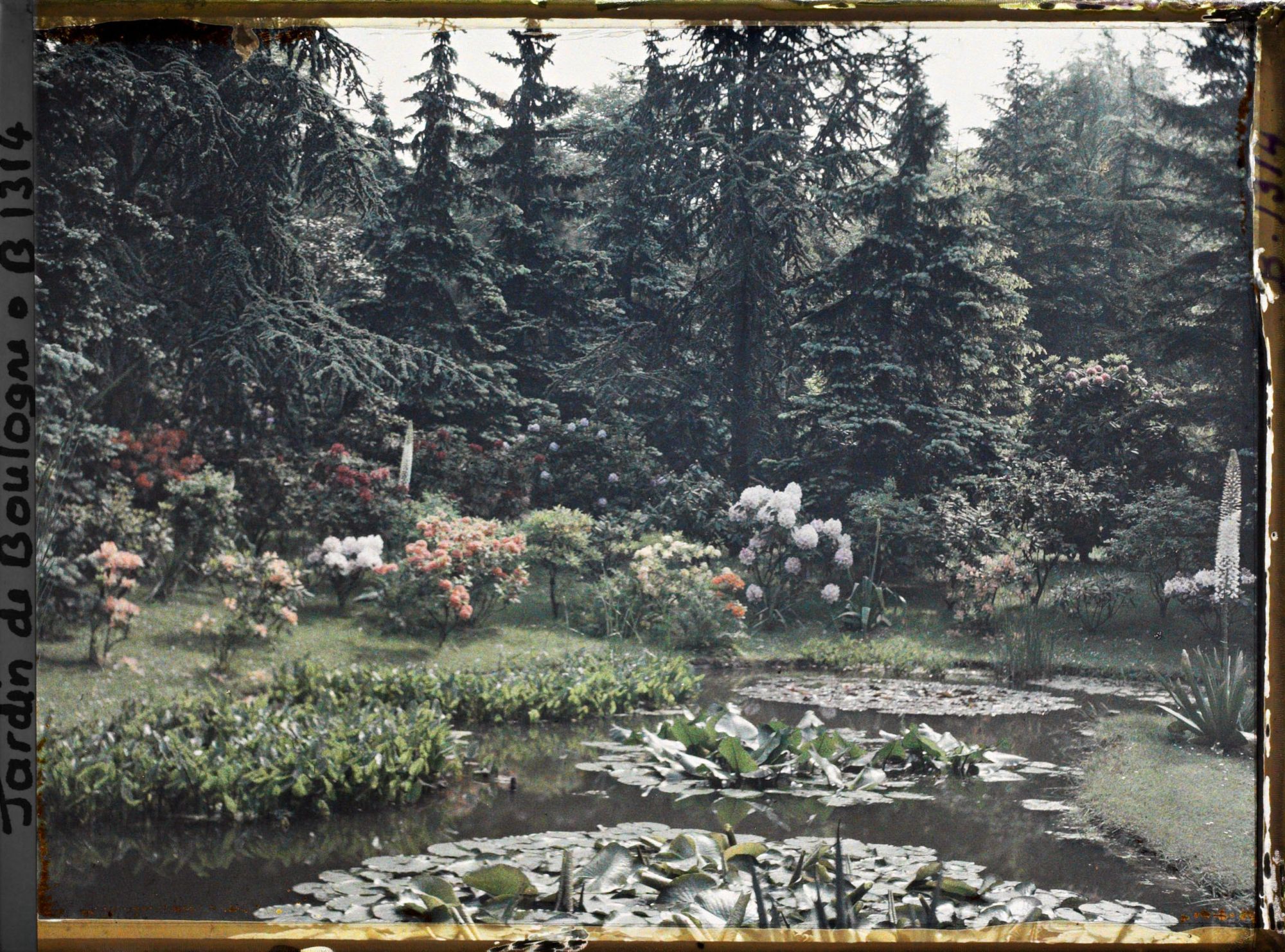 Image représentant Berges fleuries d'un " étang " situées au nord-est du marais et vues dans cette même direction