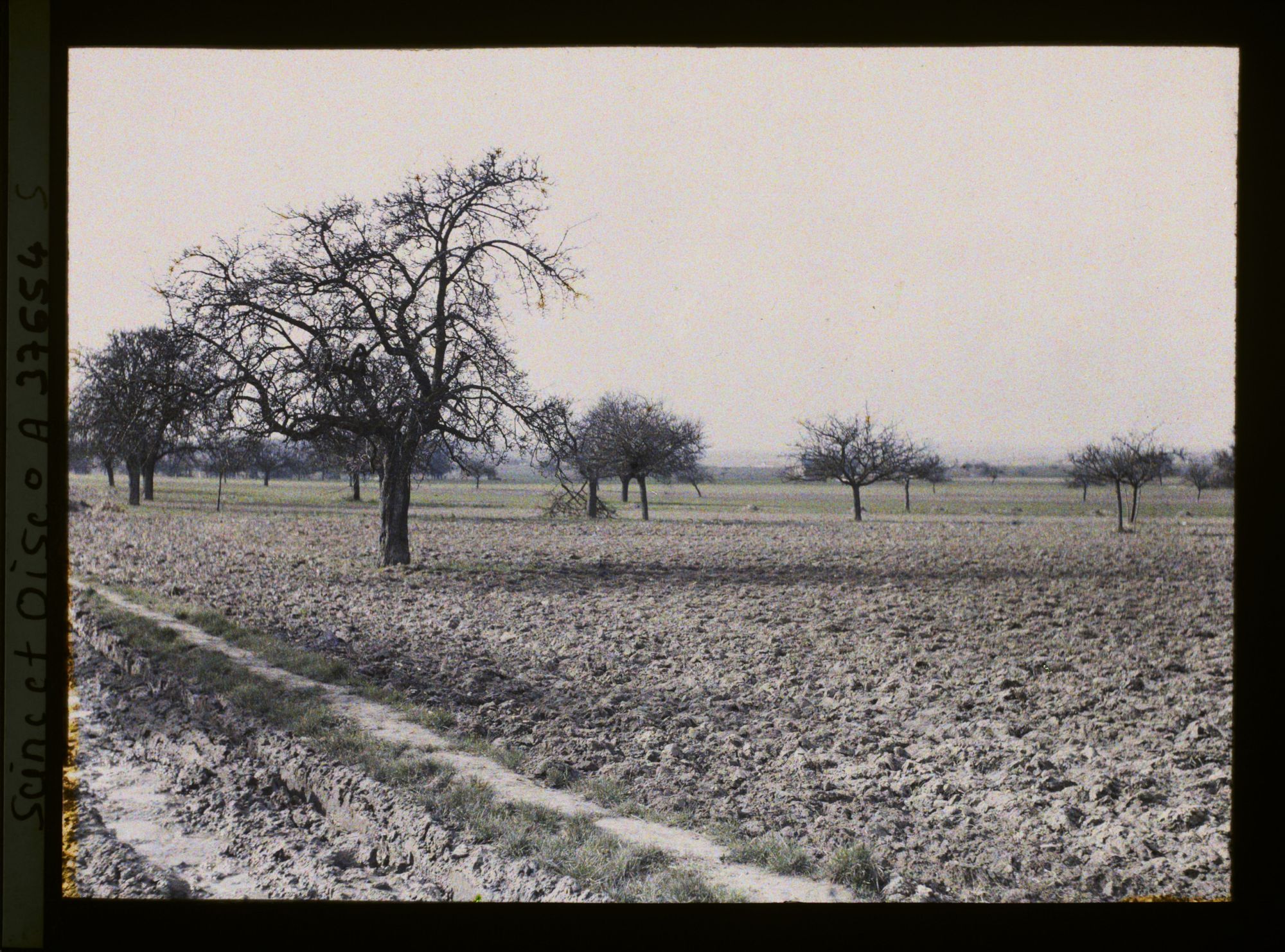 Image représentant France, Les Clayes, Champs et Pommiers