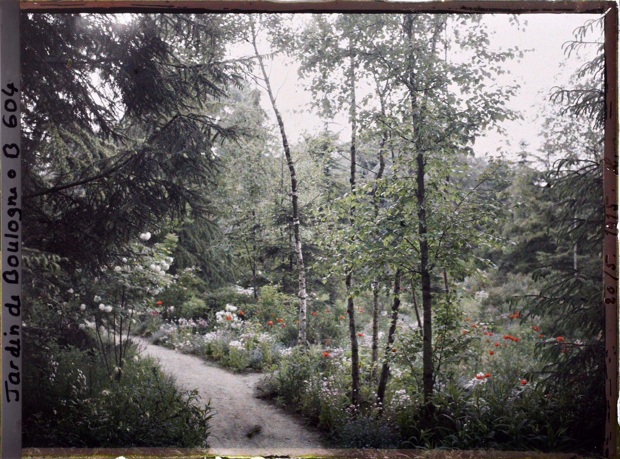 Image représentant La prairie et la forêt dorée