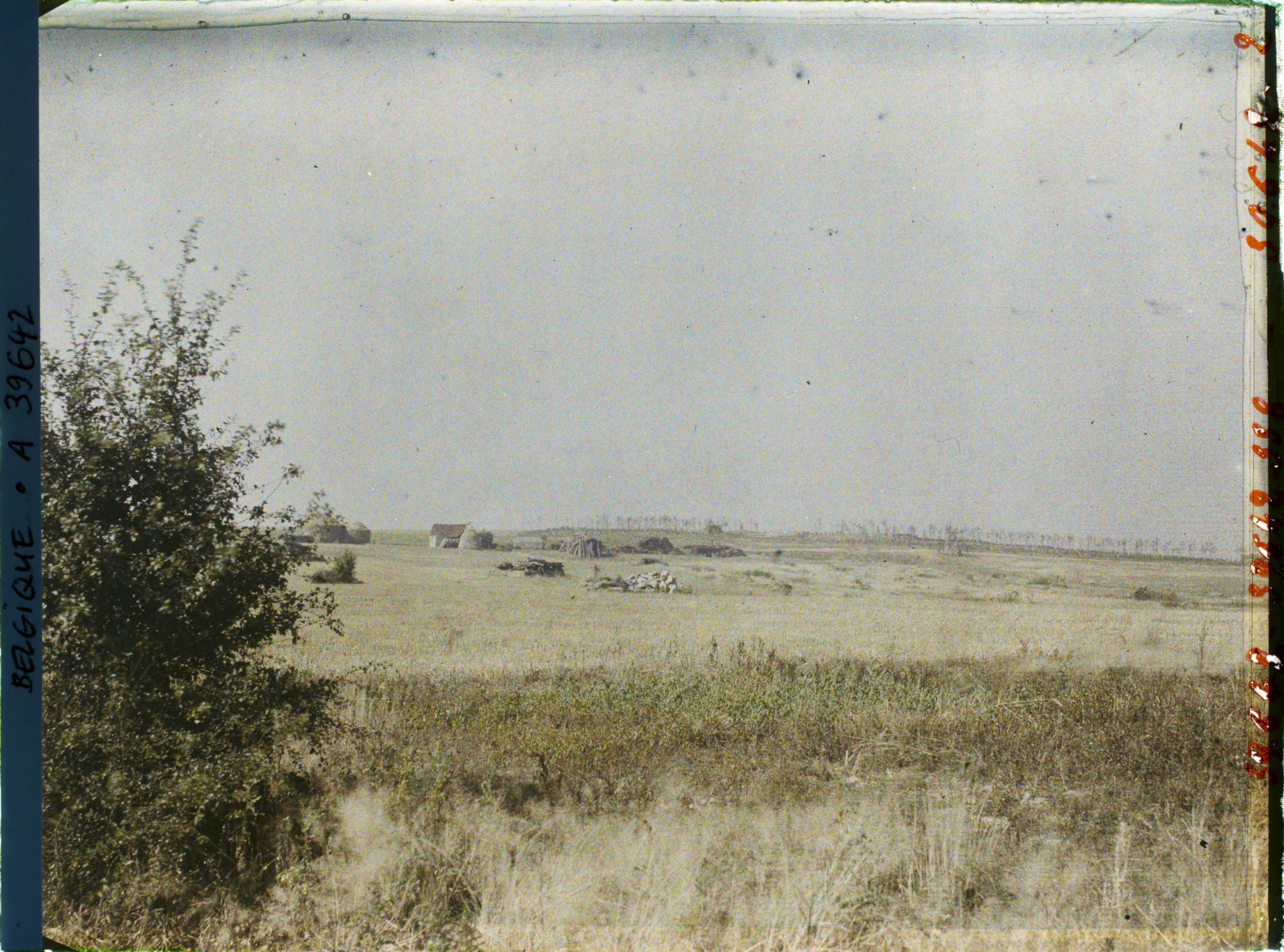 Image représentant Belgique, Hooghe, Une vue vers le bois du Sanctuaire vu de l'Est