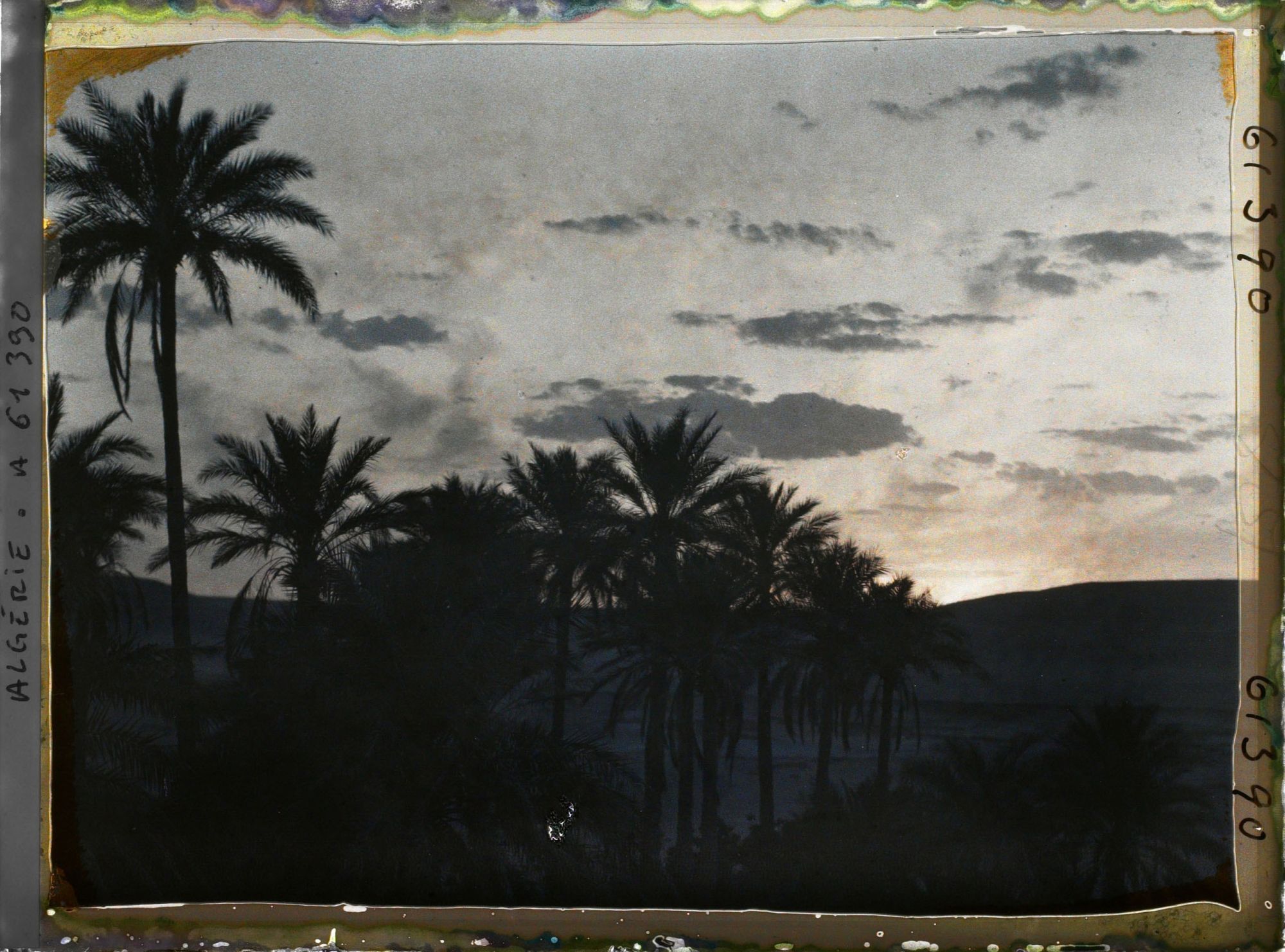 Image représentant Coucher de soleil sur la palmeraie