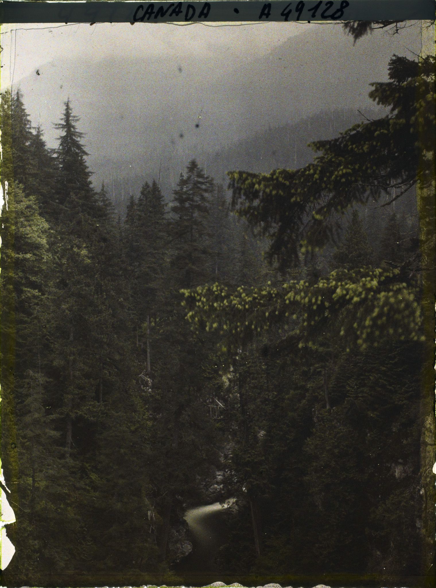 Image représentant Canada, Vancouver, Capilano Canyon- Autre Paysage sous la pluie au 2e Canyon
