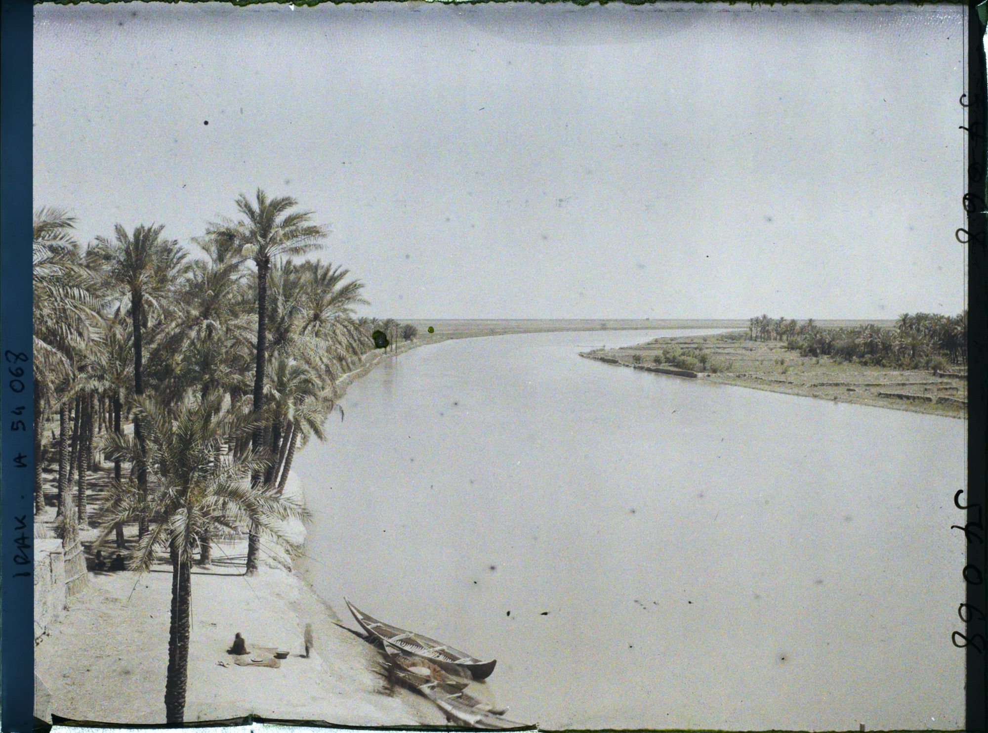 Image représentant Le Tigre