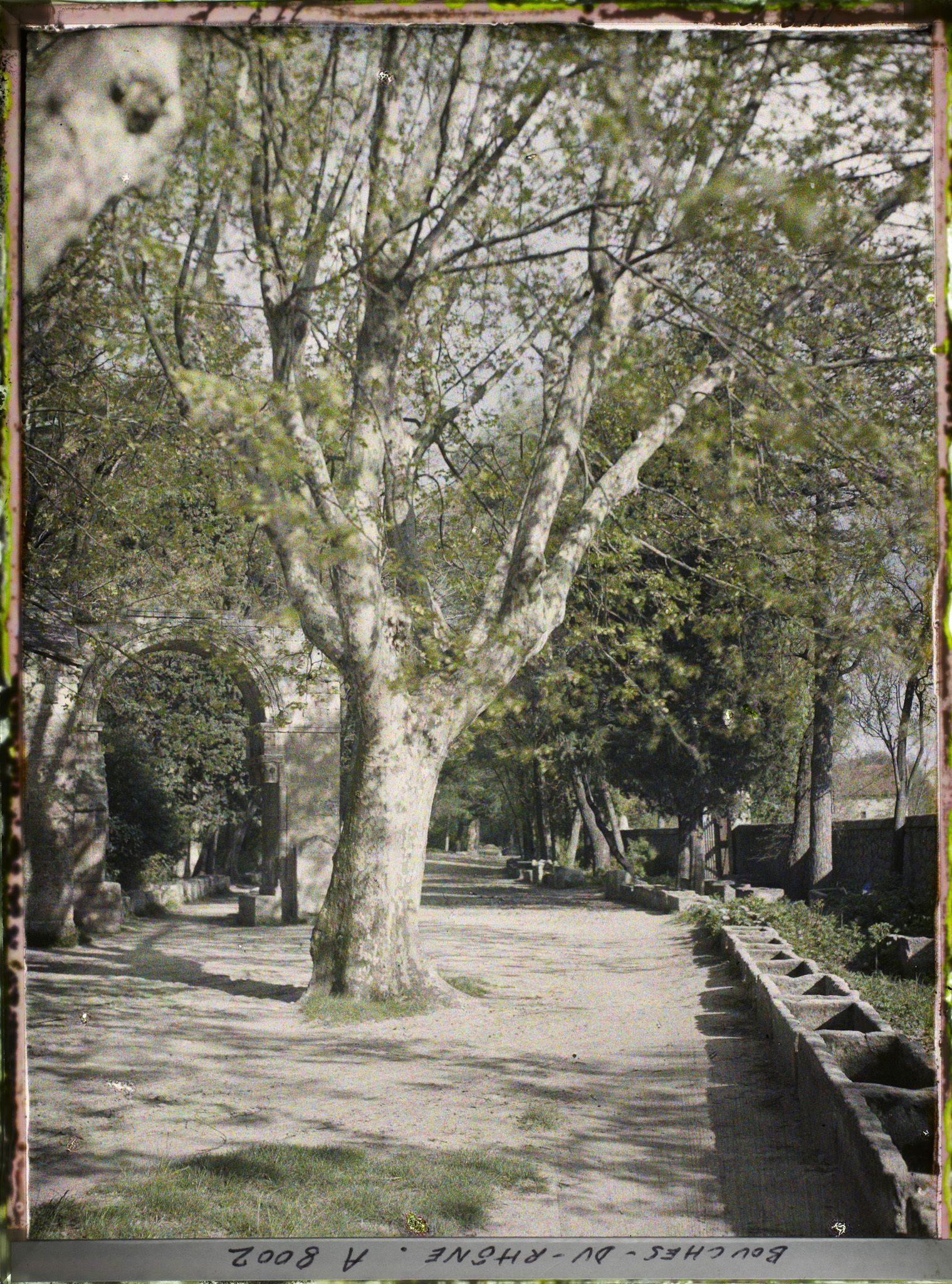 Image représentant Le porche roman de l'église Saint-Césaire-le Vieux à l'entrée du site des Alyscamps, nécropole romaine