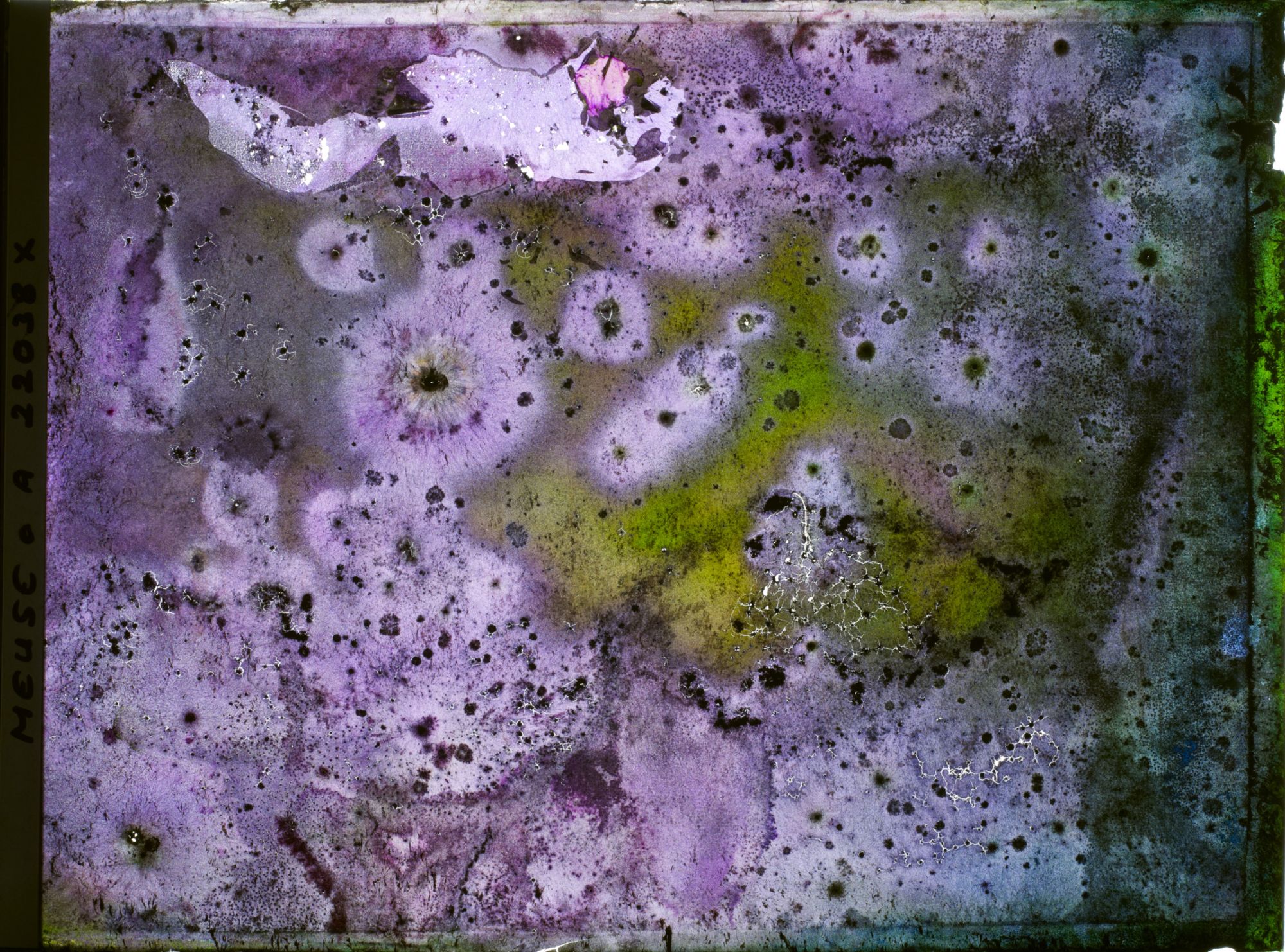 Image représentant Image illisible, plaque endommagée par l'eau (altérations d'époque)