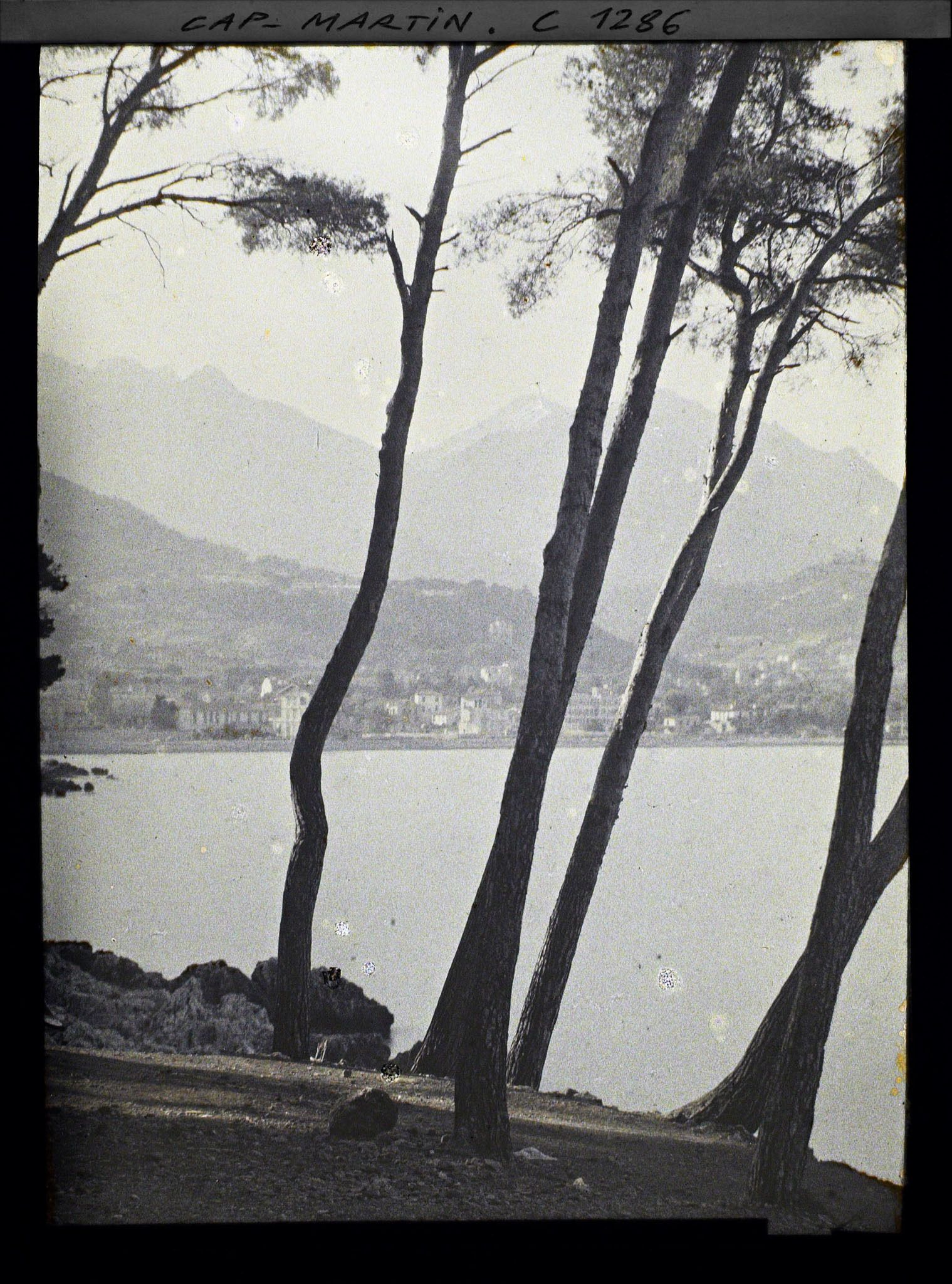 Image représentant Vue de Menton prise depuis le chemin du littoral