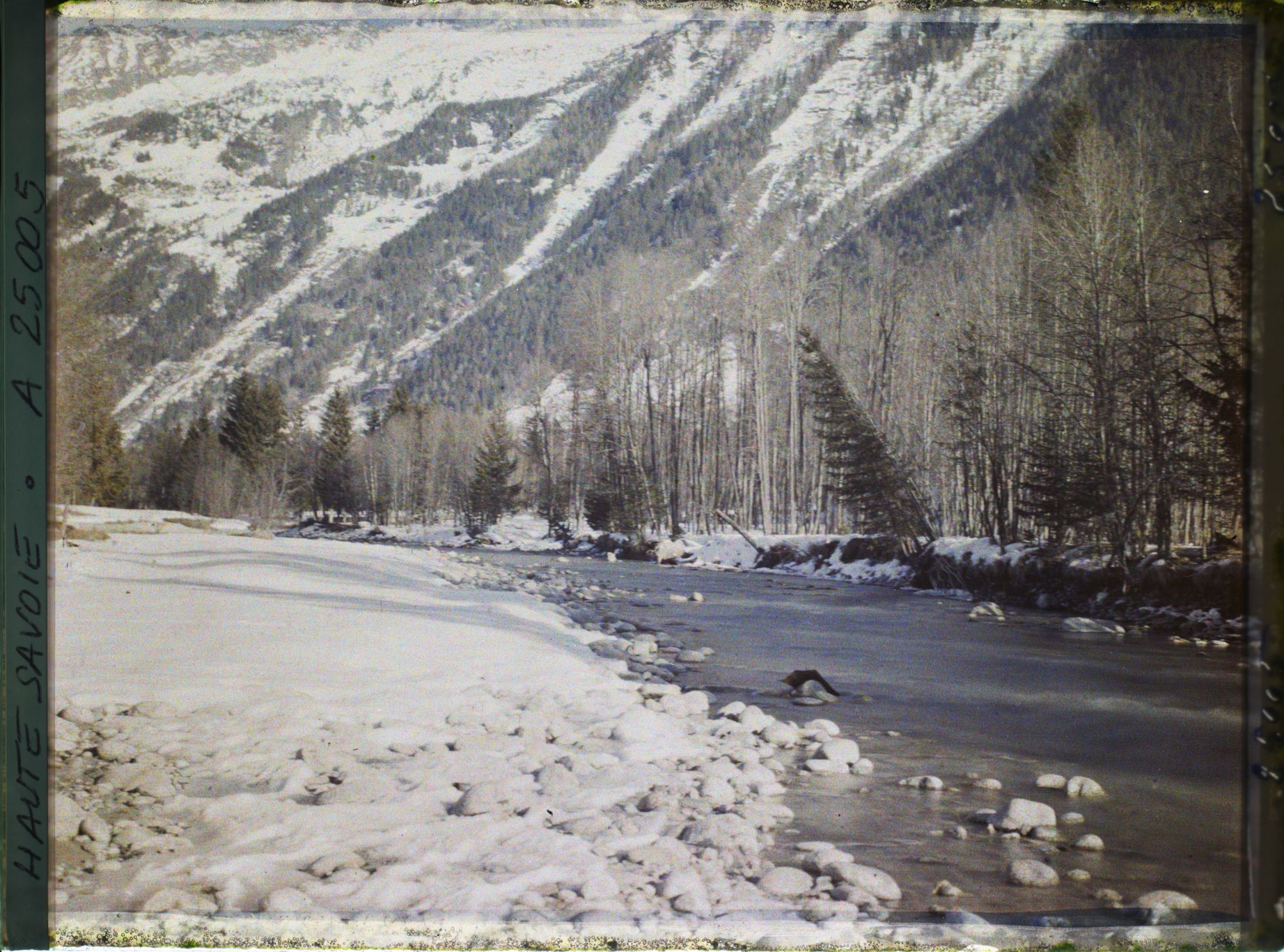 Image représentant France, Les Alpes-Vallée de Chamonix Les Rives de l'Arve en aval de Chamonix