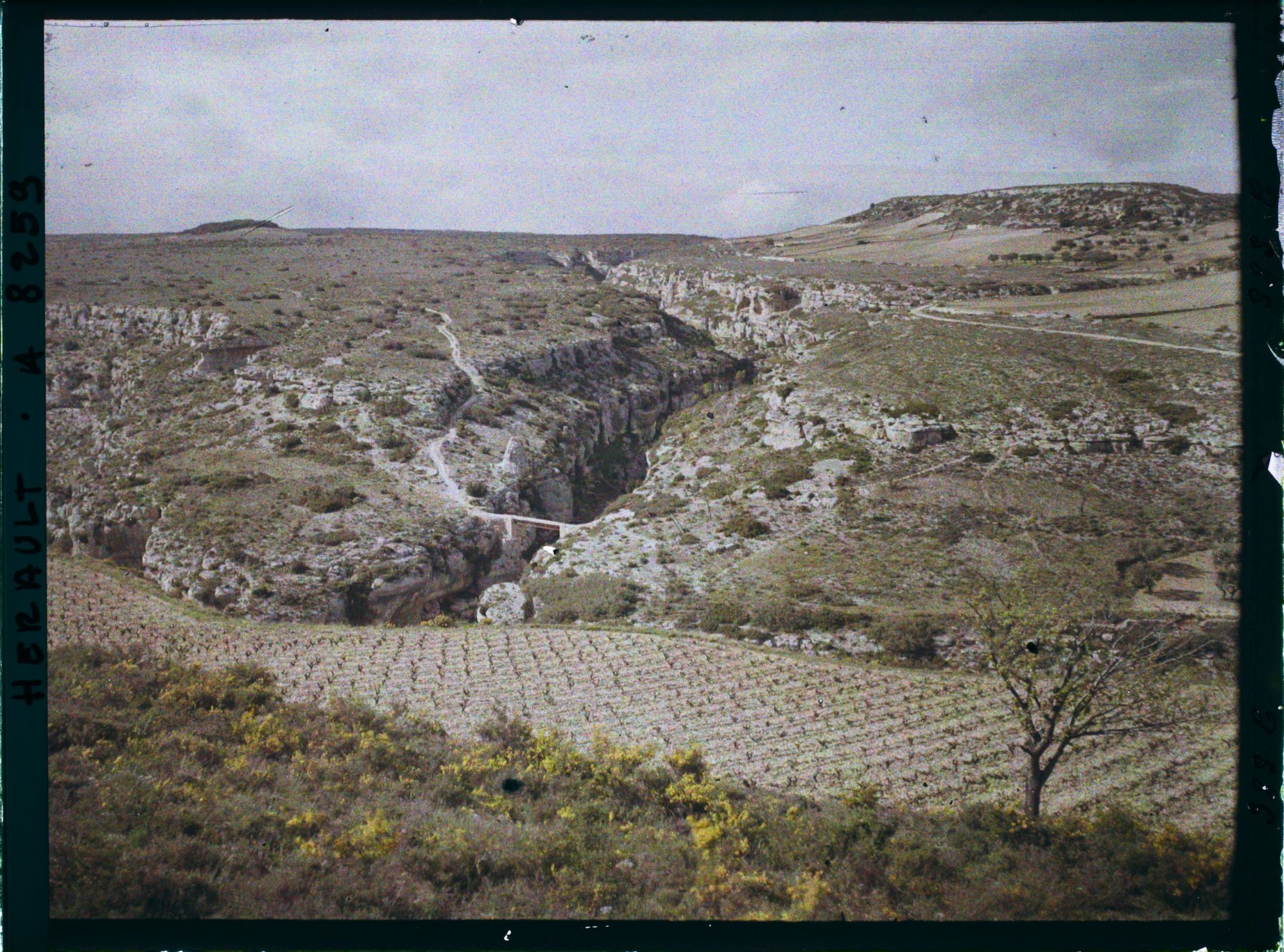 Image représentant Un coin de causse avec 2 gorges (dont la Cesse) entre Minerve et Caunette