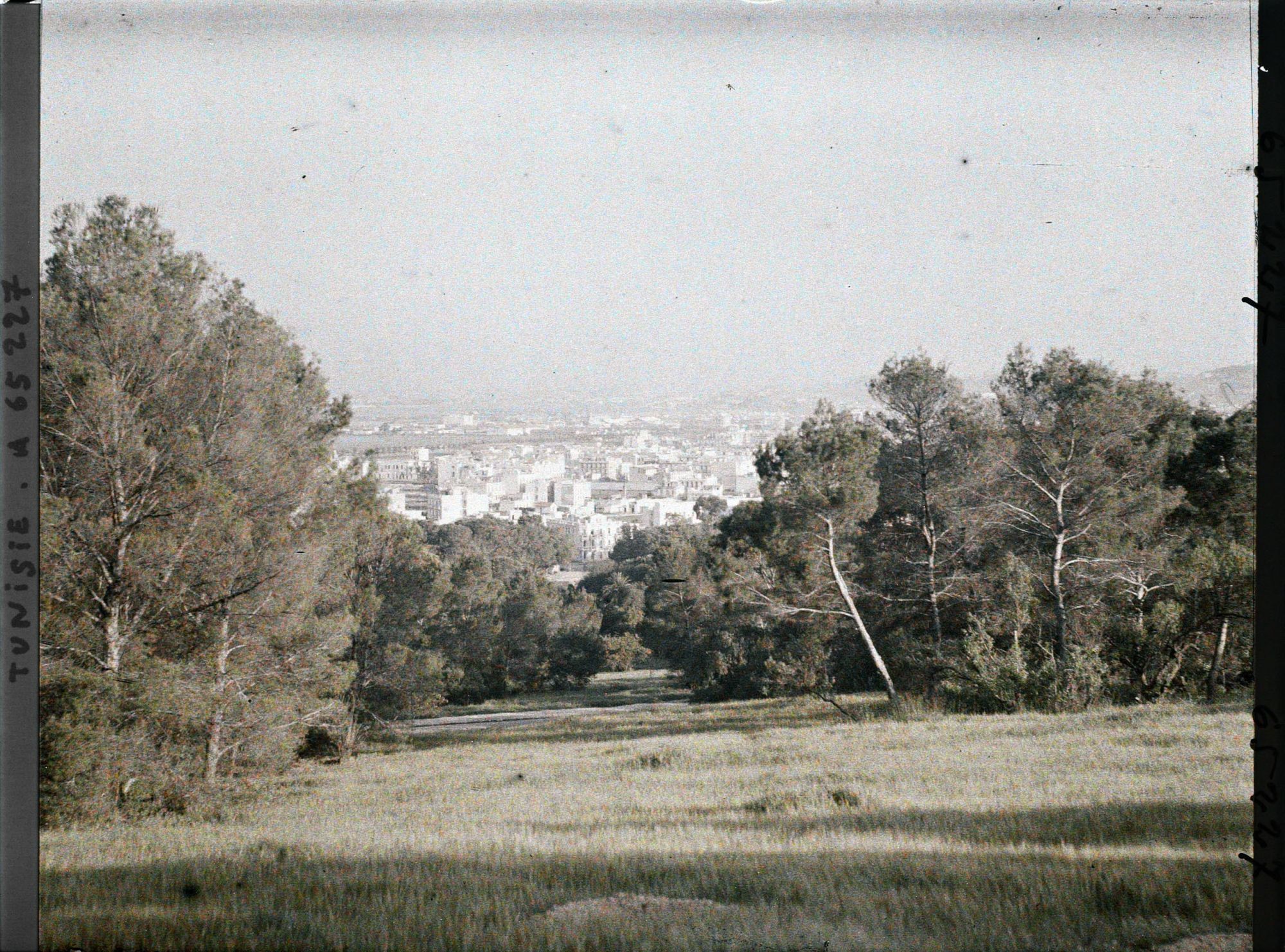 Image représentant Panorama de la ville pris le soir